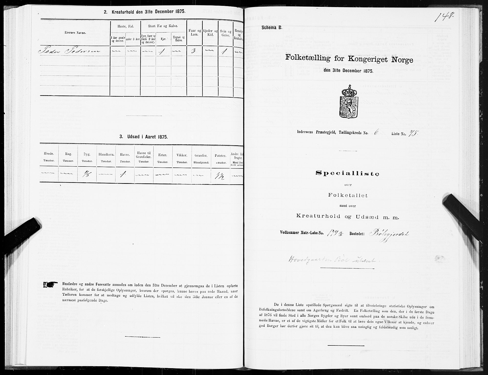 SAT, 1875 census for 1729P Inderøy, 1875, p. 4148