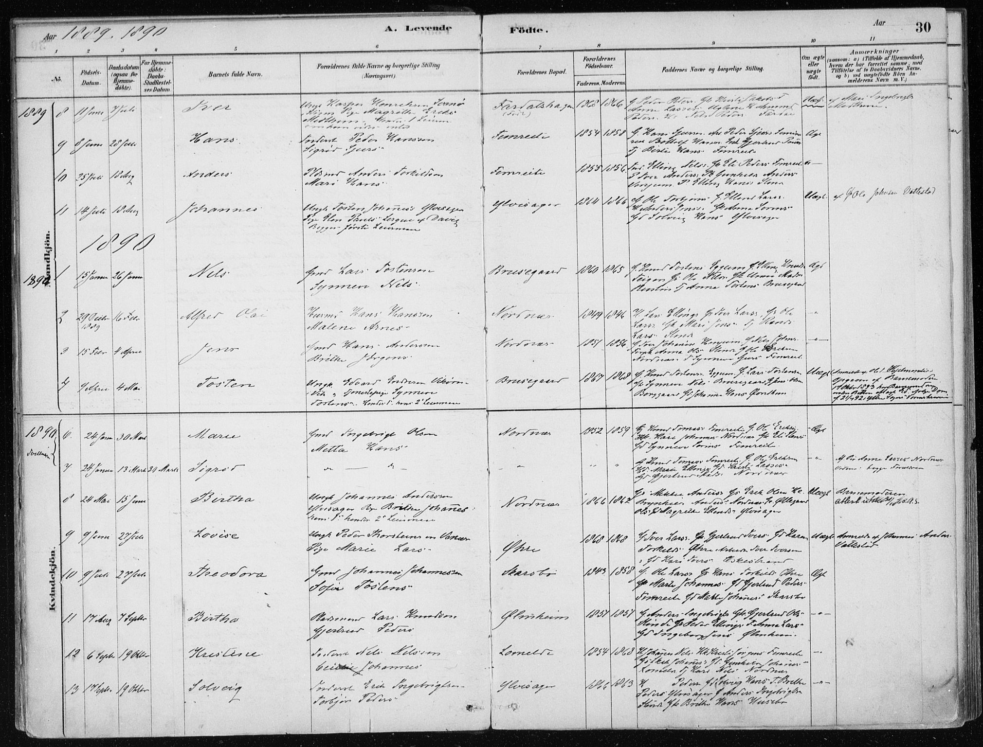 Sogndal sokneprestembete, SAB/A-81301/H/Haa/Haac/L0001: Parish register (official) no. C 1, 1878-1907, p. 30