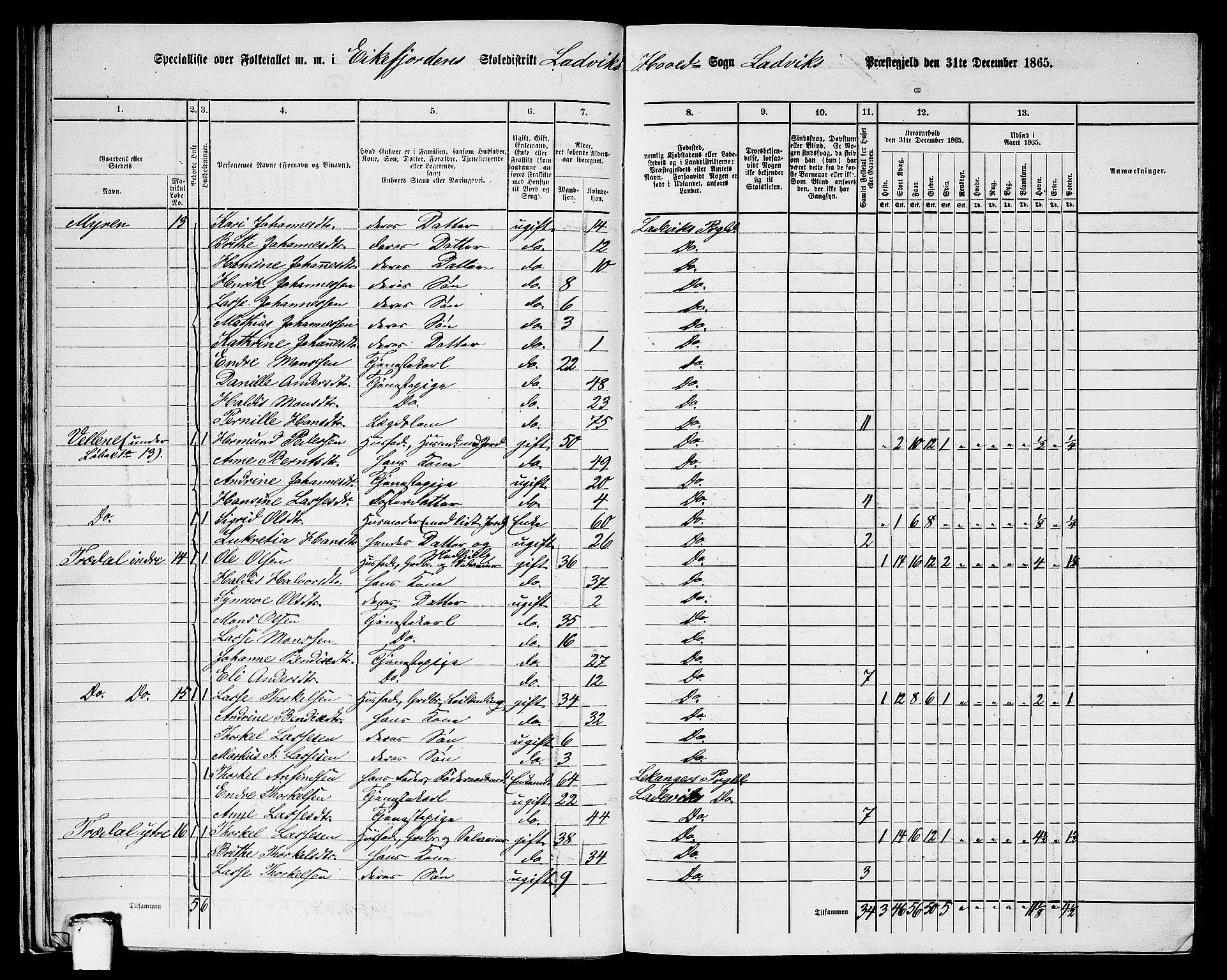 RA, 1865 census for Lavik, 1865, p. 20