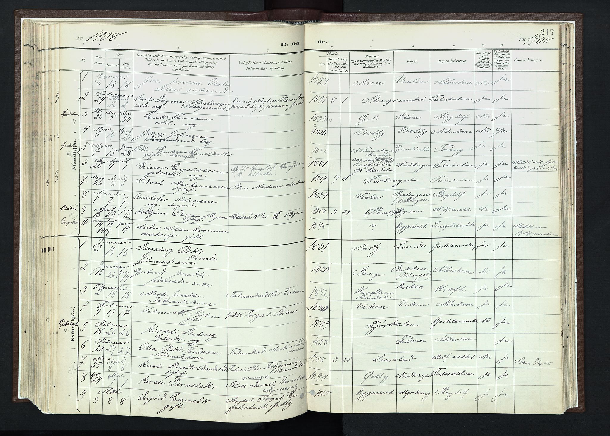 Trysil prestekontor, AV/SAH-PREST-046/H/Ha/Haa/L0013: Parish register (official) no. 13, 1898-1911, p. 217