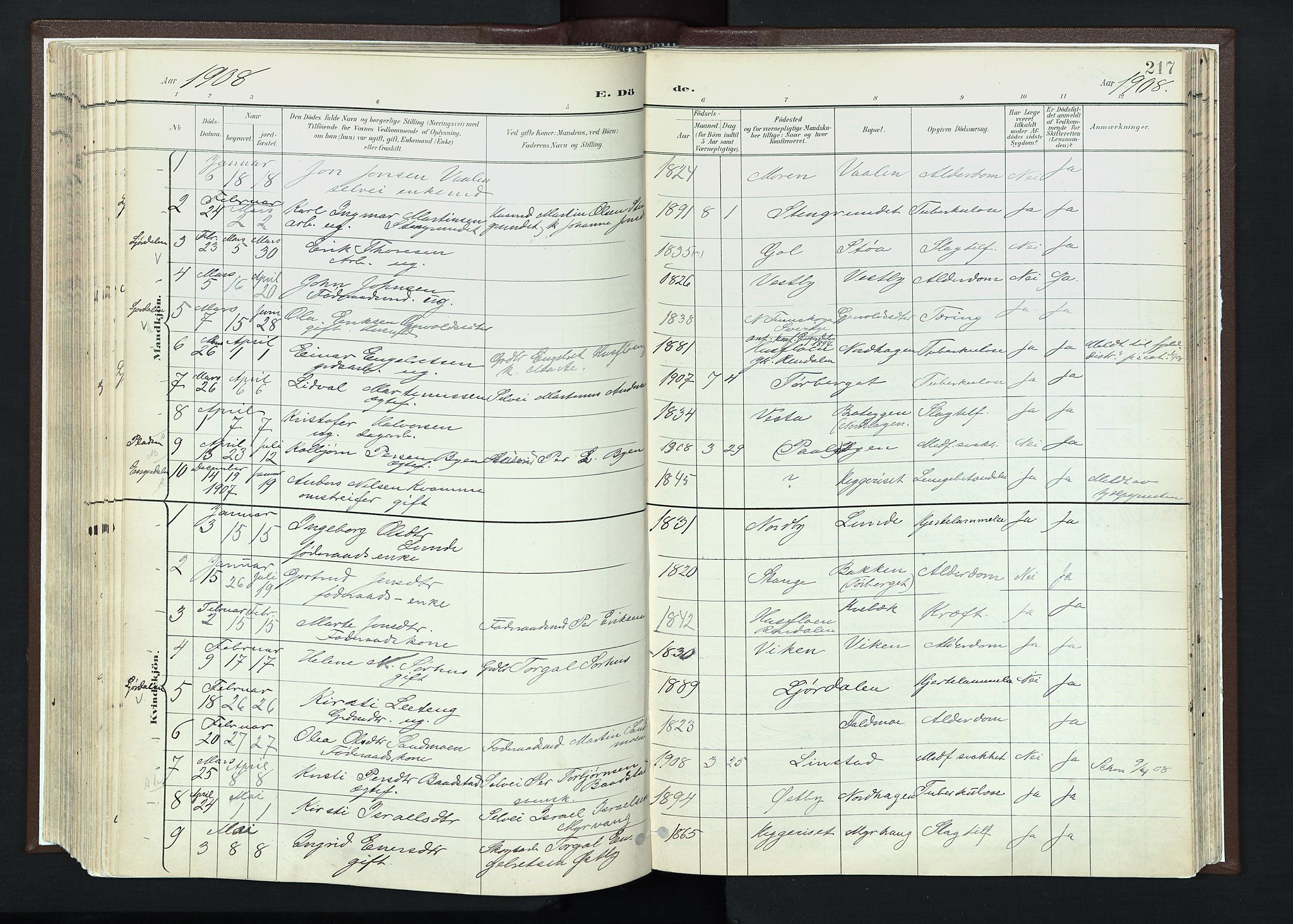 Trysil prestekontor, SAH/PREST-046/H/Ha/Haa/L0013: Parish register (official) no. 13, 1898-1911, p. 217