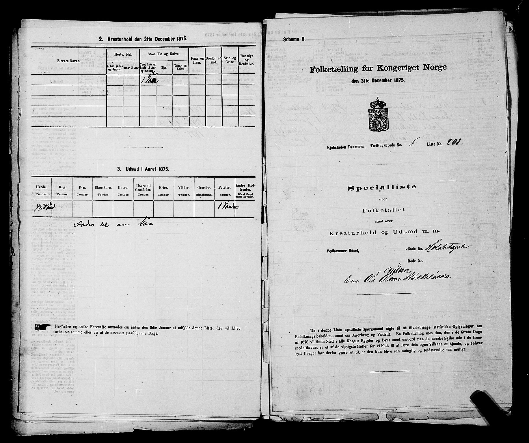 SAKO, 1875 census for 0602 Drammen, 1875, p. 535