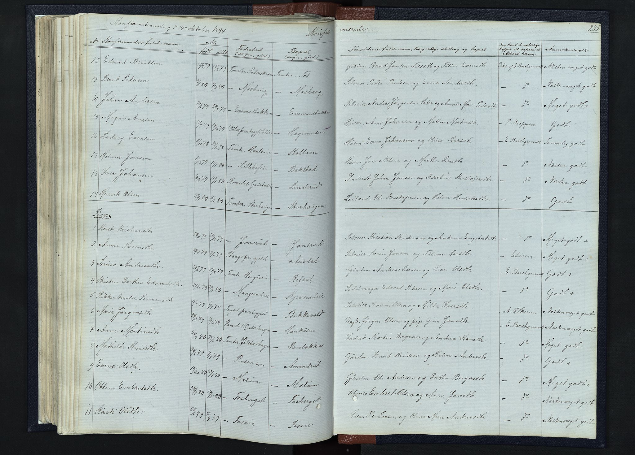 Romedal prestekontor, SAH/PREST-004/L/L0010: Parish register (copy) no. 10, 1860-1895, p. 285