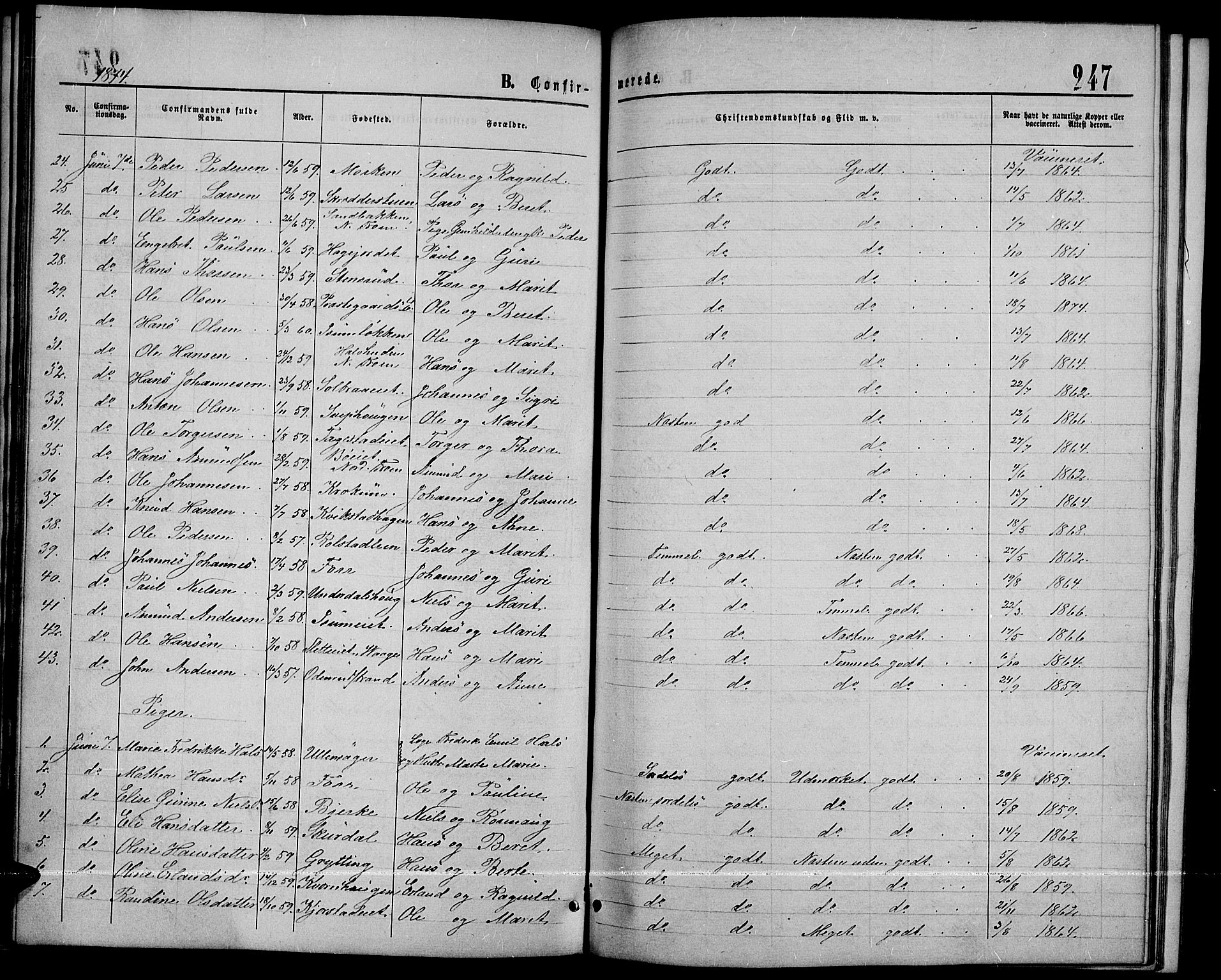 Sør-Fron prestekontor, SAH/PREST-010/H/Ha/Hab/L0002: Parish register (copy) no. 2, 1864-1883, p. 247