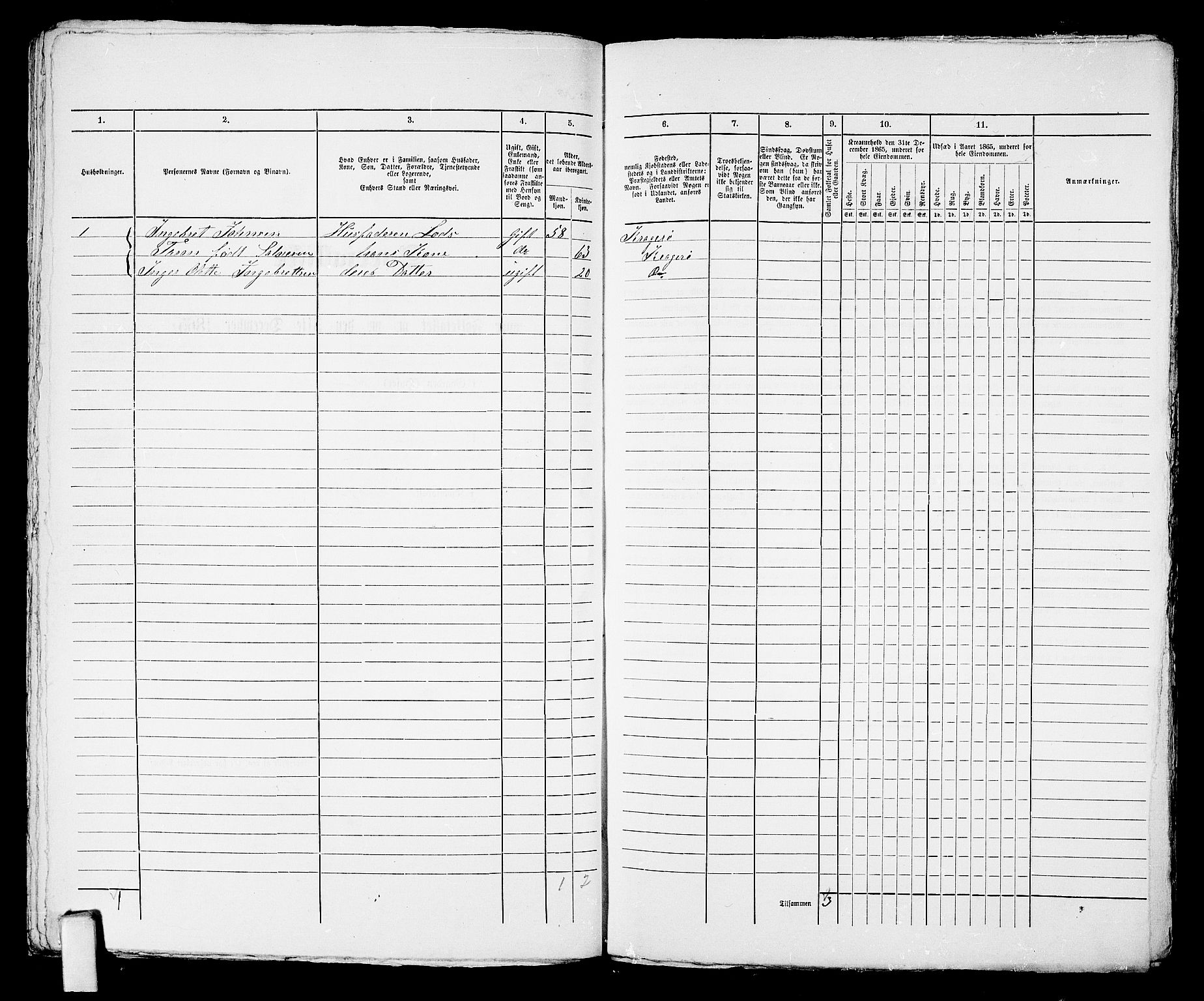 RA, 1865 census for Kragerø/Kragerø, 1865, p. 379