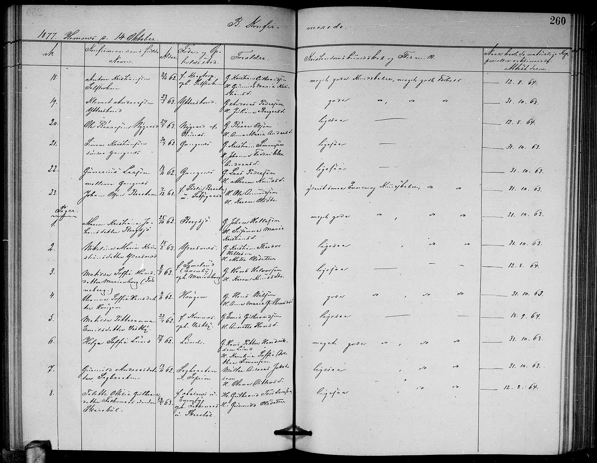 Høland prestekontor Kirkebøker, AV/SAO-A-10346a/G/Ga/L0006: Parish register (copy) no. I 6, 1869-1879, p. 260