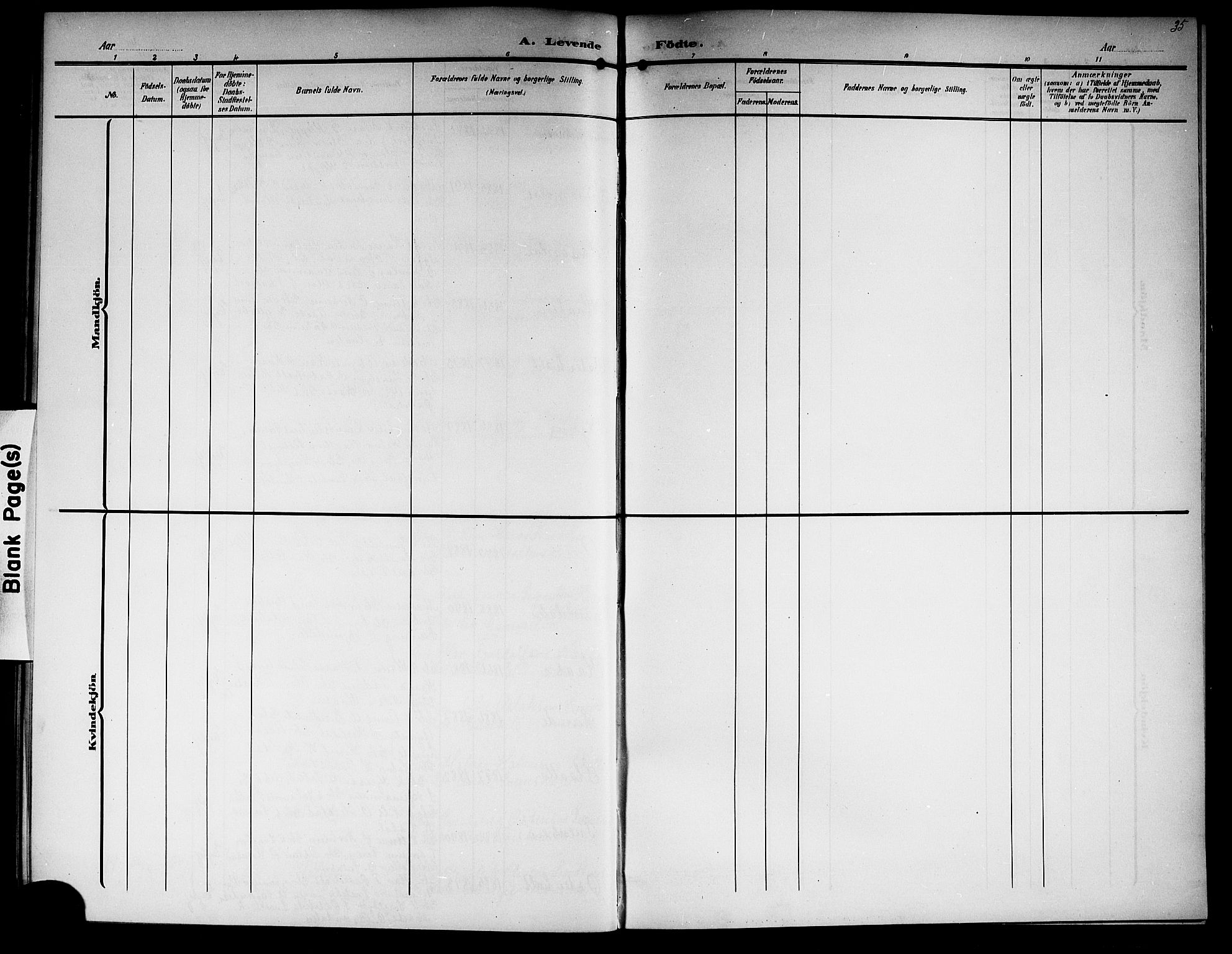 Lunde kirkebøker, SAKO/A-282/G/Ga/L0004: Parish register (copy) no. I 4, 1906-1914, p. 35