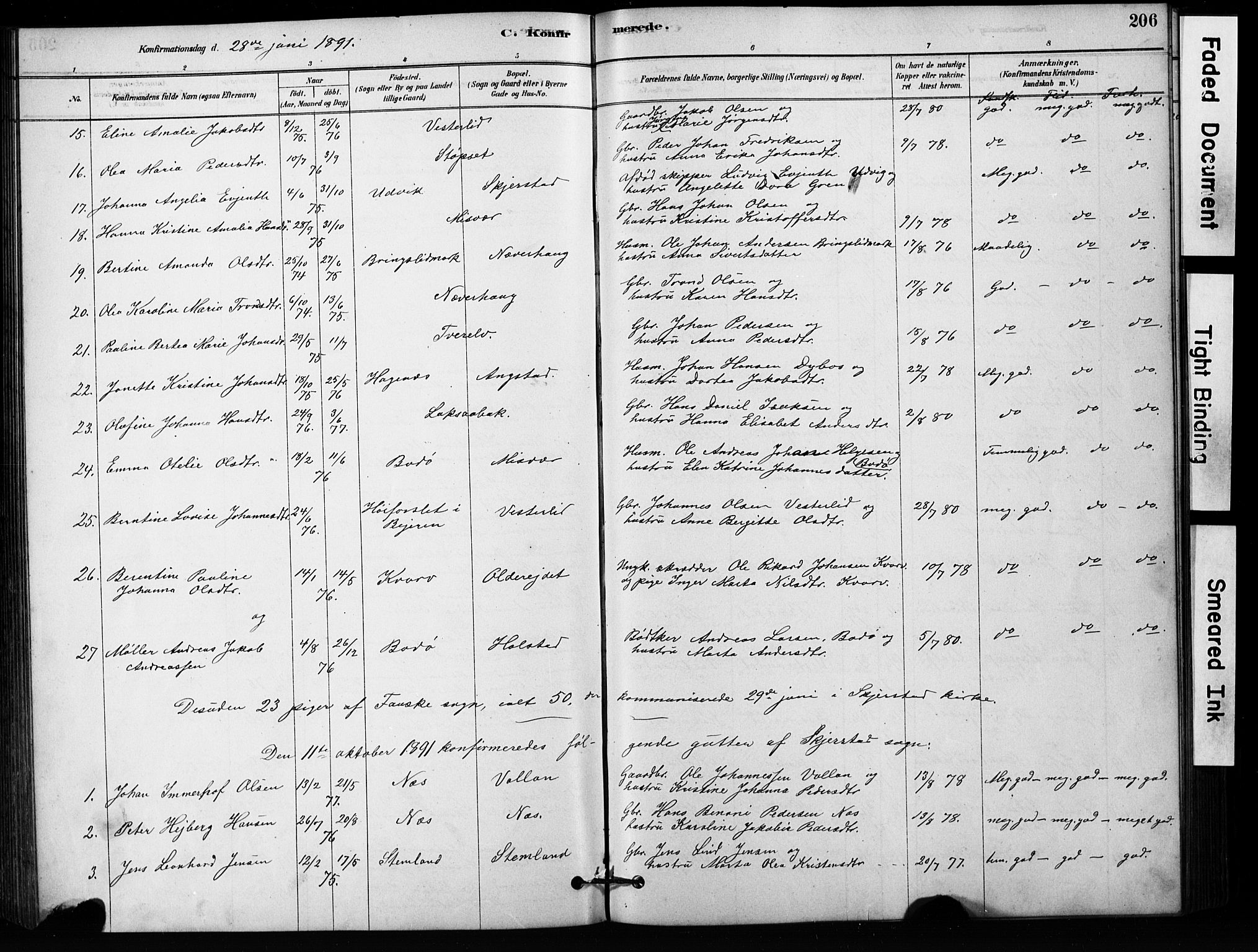 Ministerialprotokoller, klokkerbøker og fødselsregistre - Nordland, AV/SAT-A-1459/852/L0754: Parish register (copy) no. 852C05, 1878-1894, p. 206