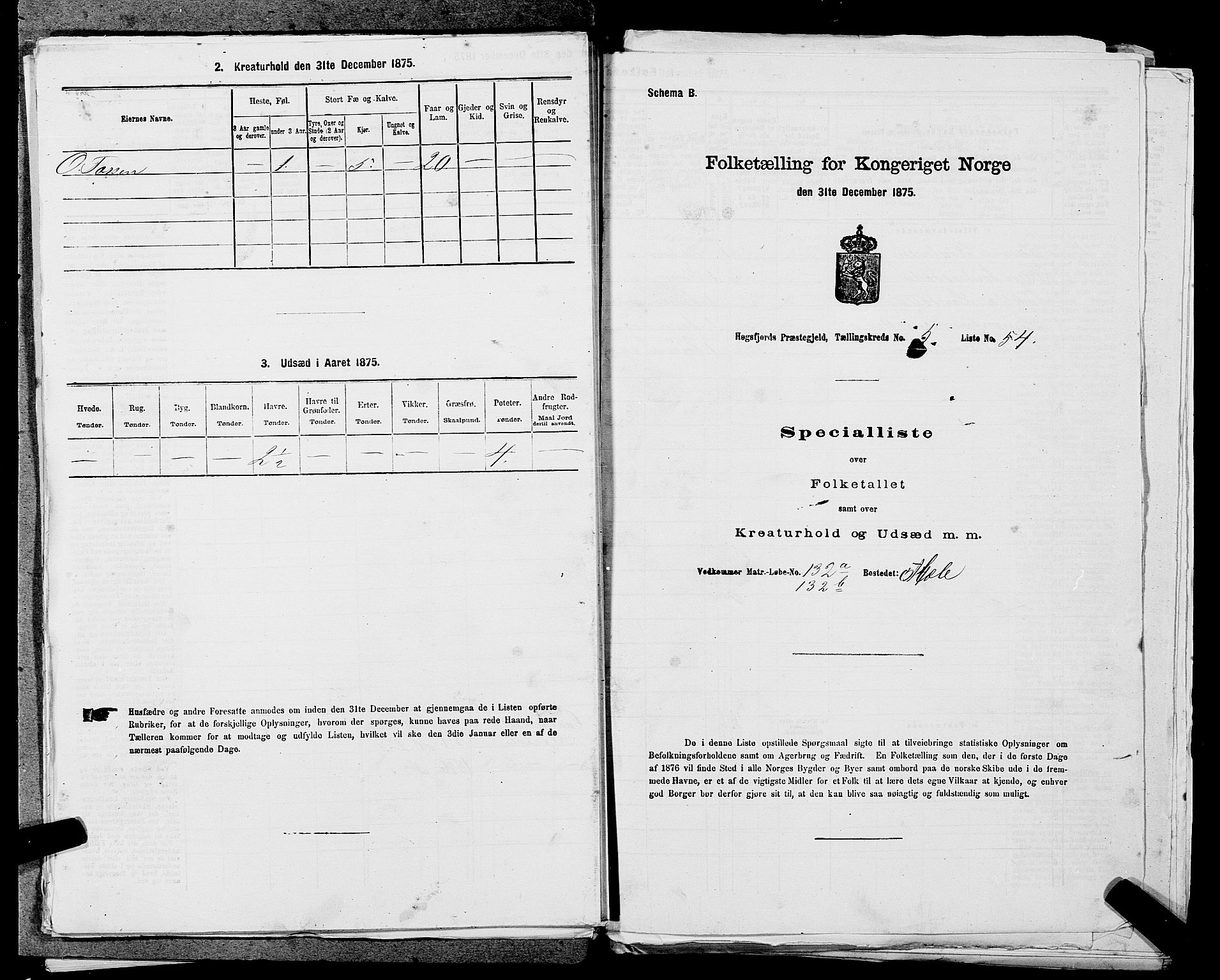 SAST, 1875 census for 1128P Høgsfjord, 1875, p. 534