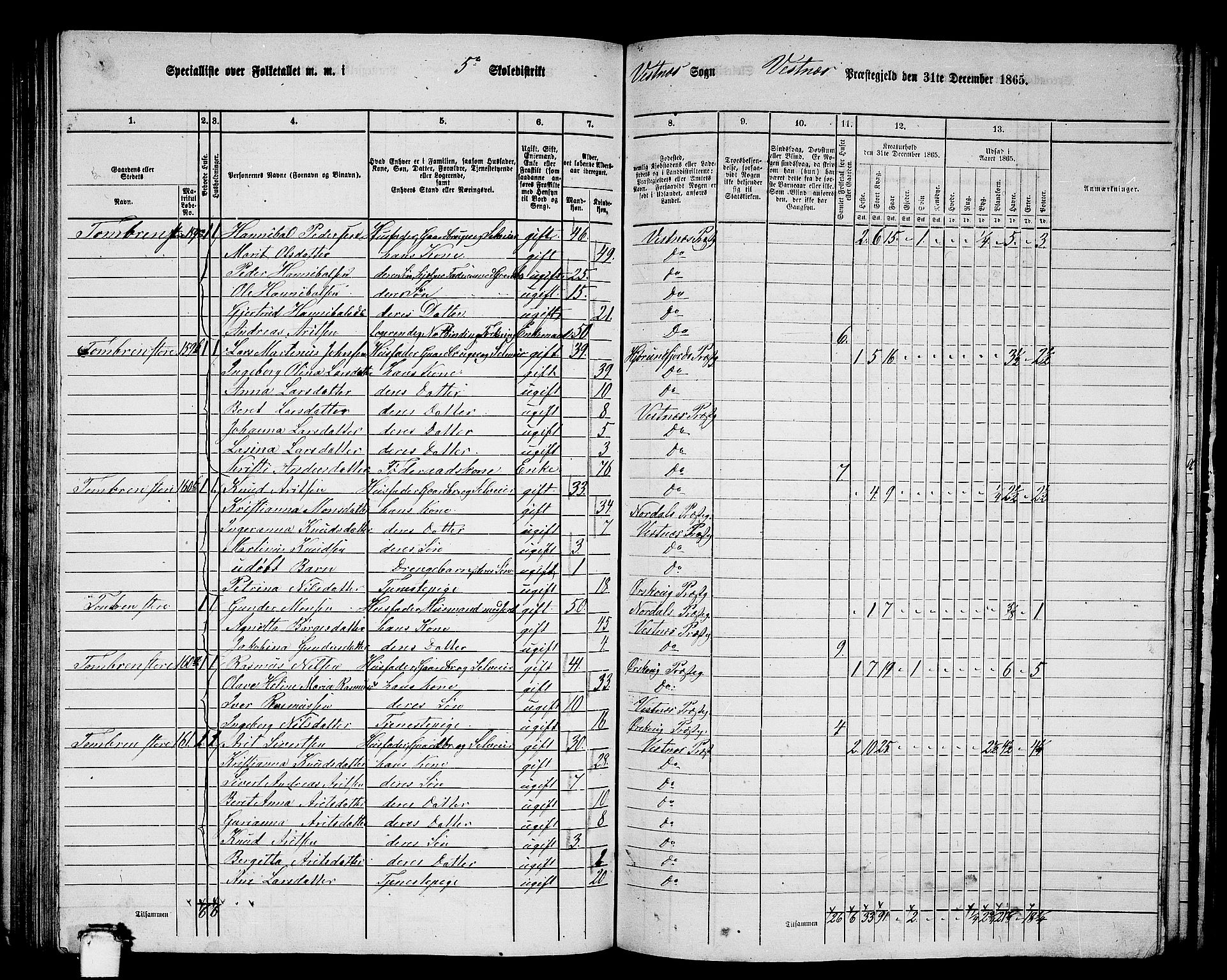 RA, 1865 census for Vestnes, 1865, p. 110