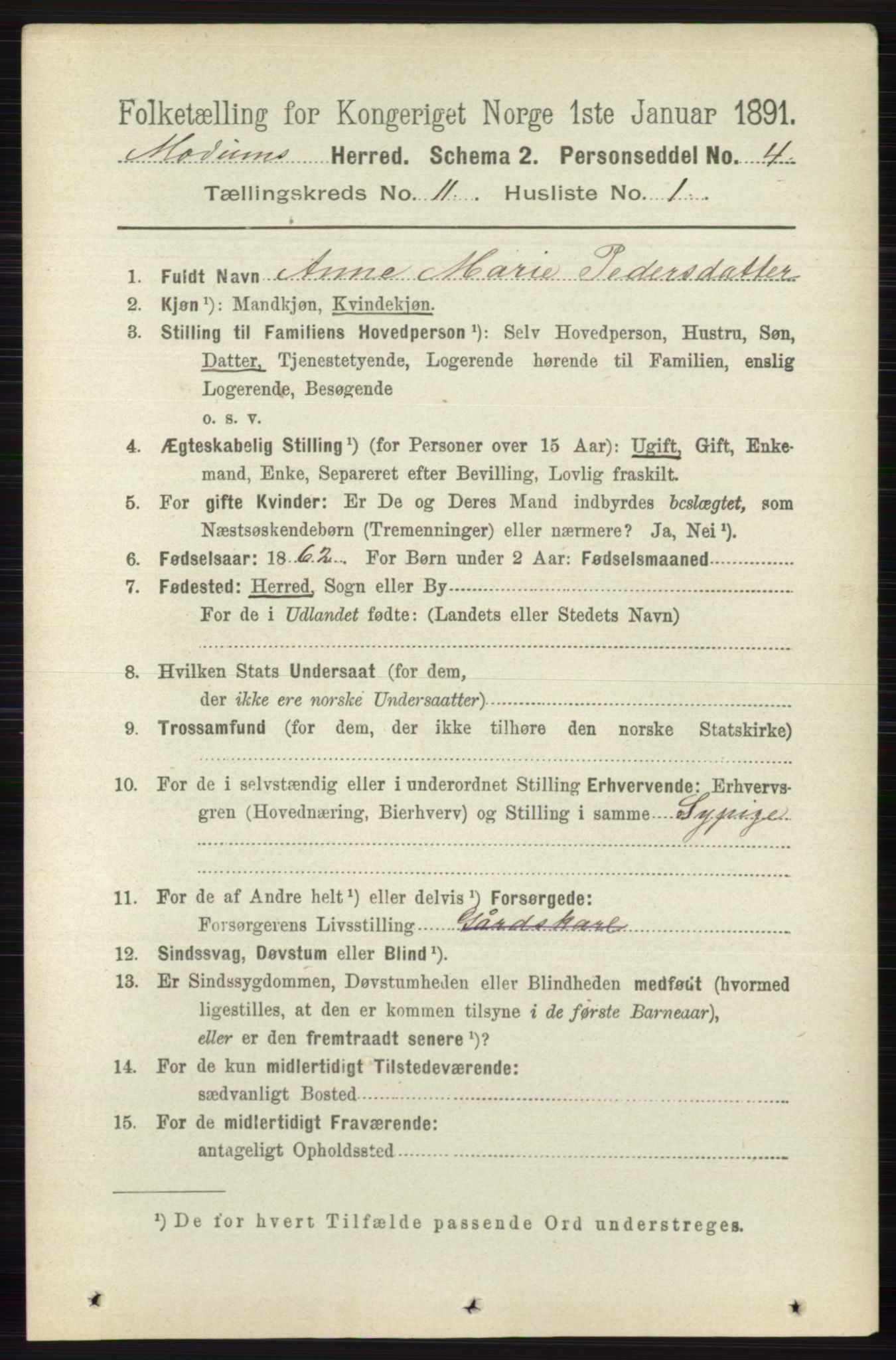 RA, 1891 census for 0623 Modum, 1891, p. 4113