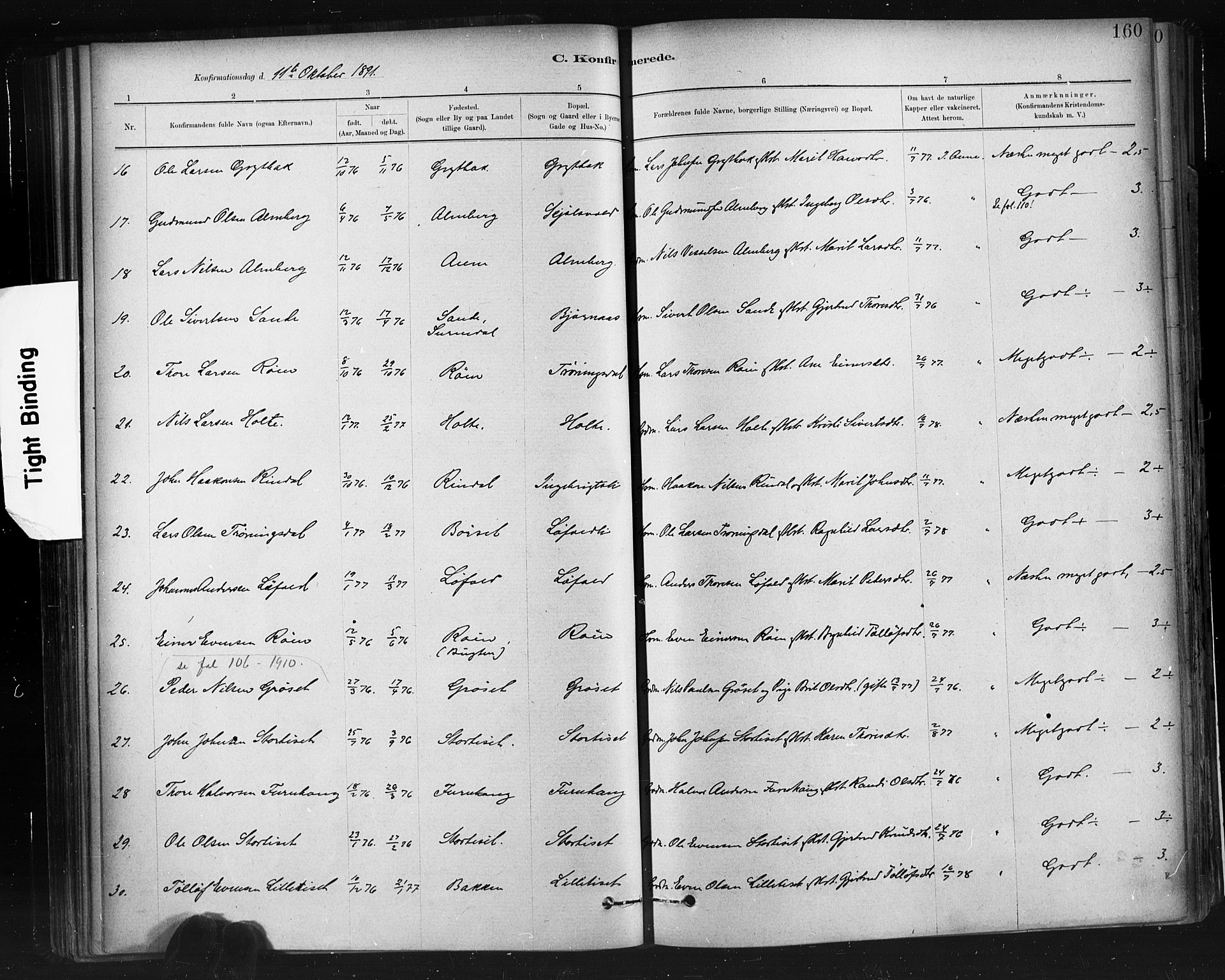 Ministerialprotokoller, klokkerbøker og fødselsregistre - Møre og Romsdal, AV/SAT-A-1454/598/L1069: Parish register (official) no. 598A03, 1882-1895, p. 160