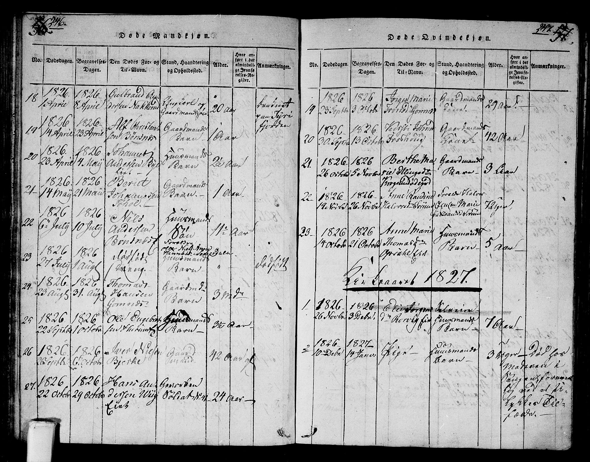 Hole kirkebøker, SAKO/A-228/G/Ga/L0001: Parish register (copy) no. I 1, 1814-1842, p. 246-247
