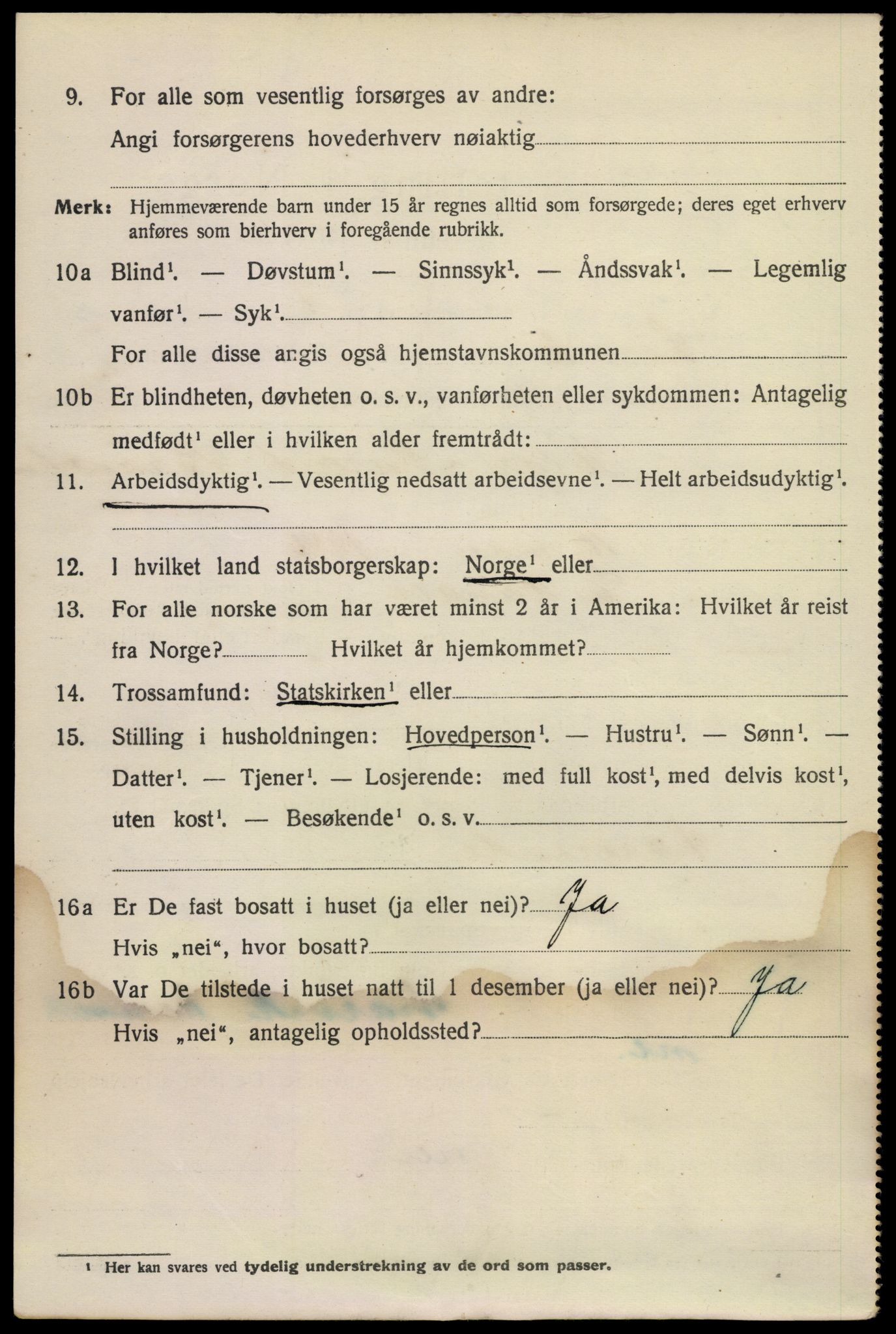 SAKO, 1920 census for Larvik, 1920, p. 21173