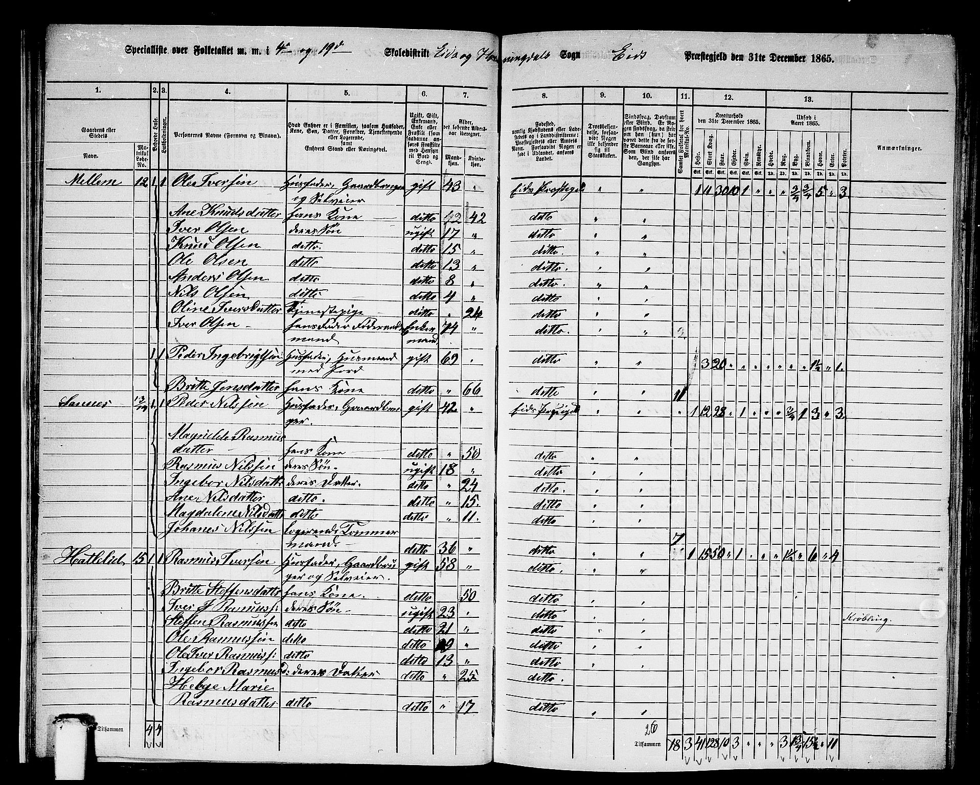 RA, 1865 census for Eid, 1865, p. 21