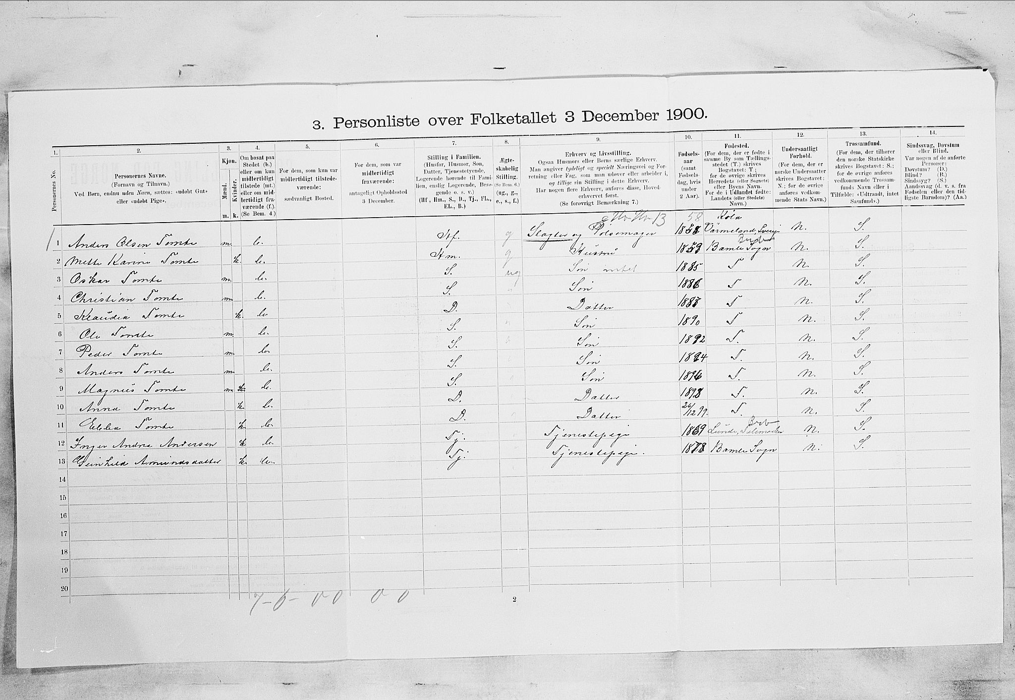 SAKO, 1900 census for Langesund, 1900, p. 810