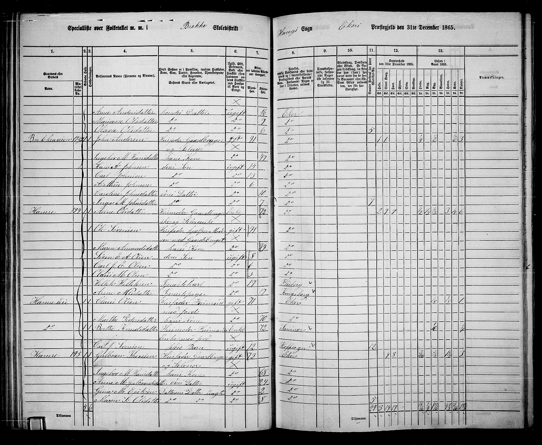 RA, 1865 census for Eiker, 1865, p. 67