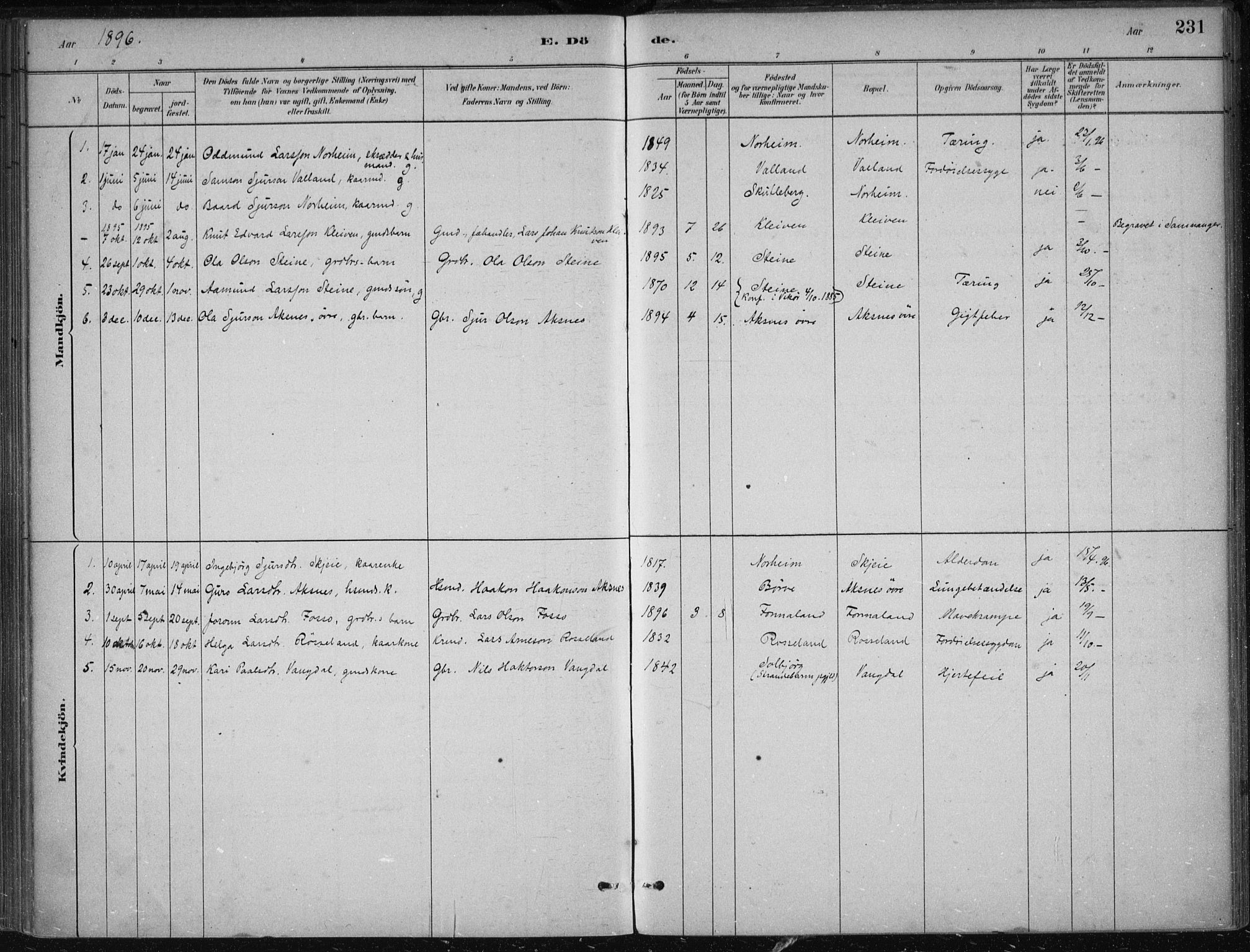 Kvam sokneprestembete, AV/SAB-A-76201/H/Haa: Parish register (official) no. B  1, 1880-1908, p. 231