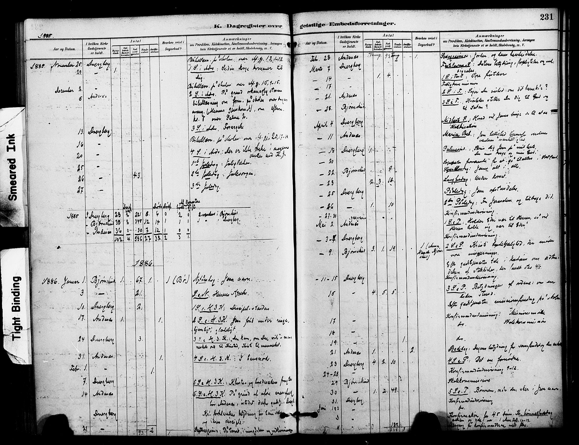 Ministerialprotokoller, klokkerbøker og fødselsregistre - Nordland, AV/SAT-A-1459/897/L1399: Parish register (official) no. 897C06, 1881-1896, p. 231