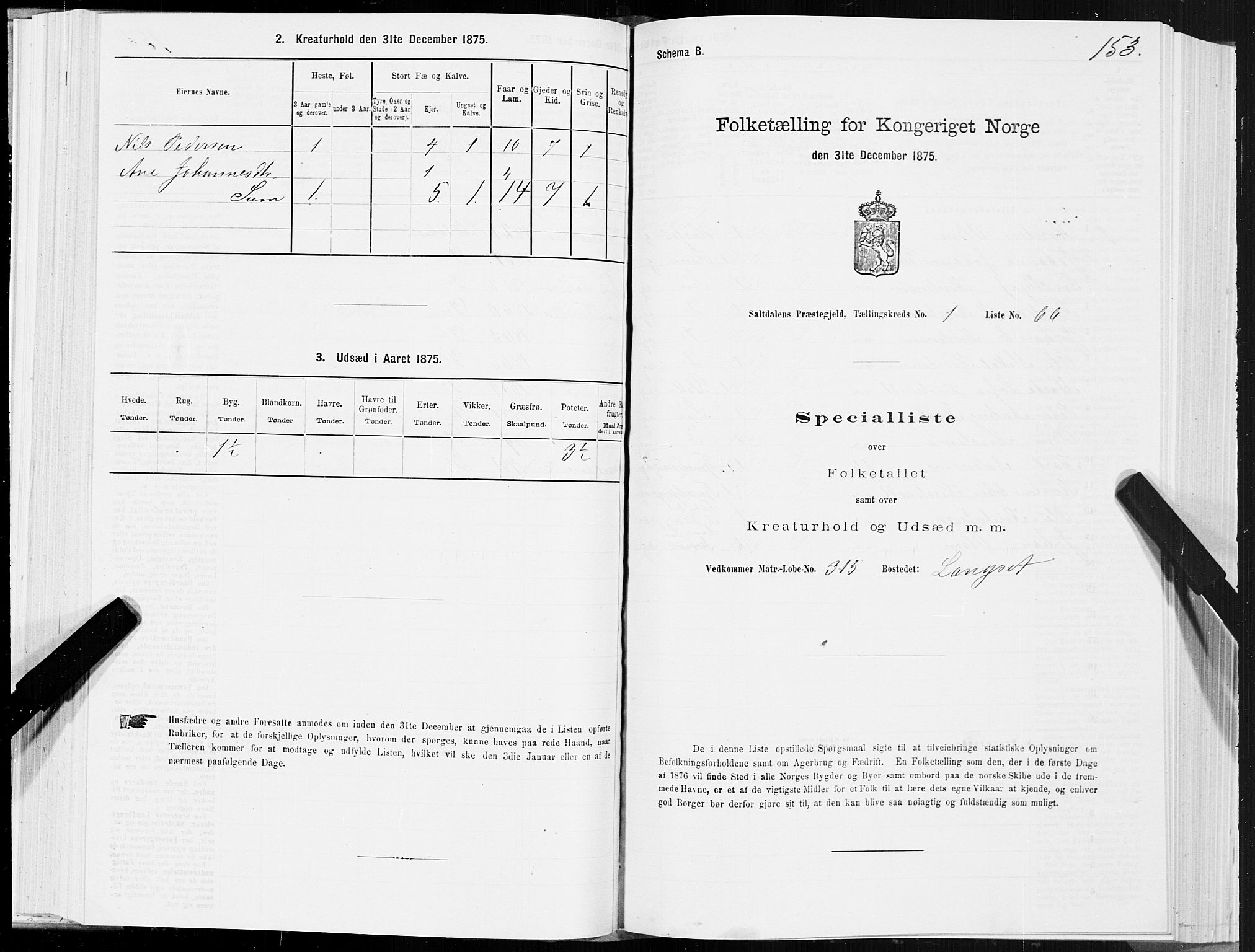 SAT, 1875 census for 1840P Saltdal, 1875, p. 1153