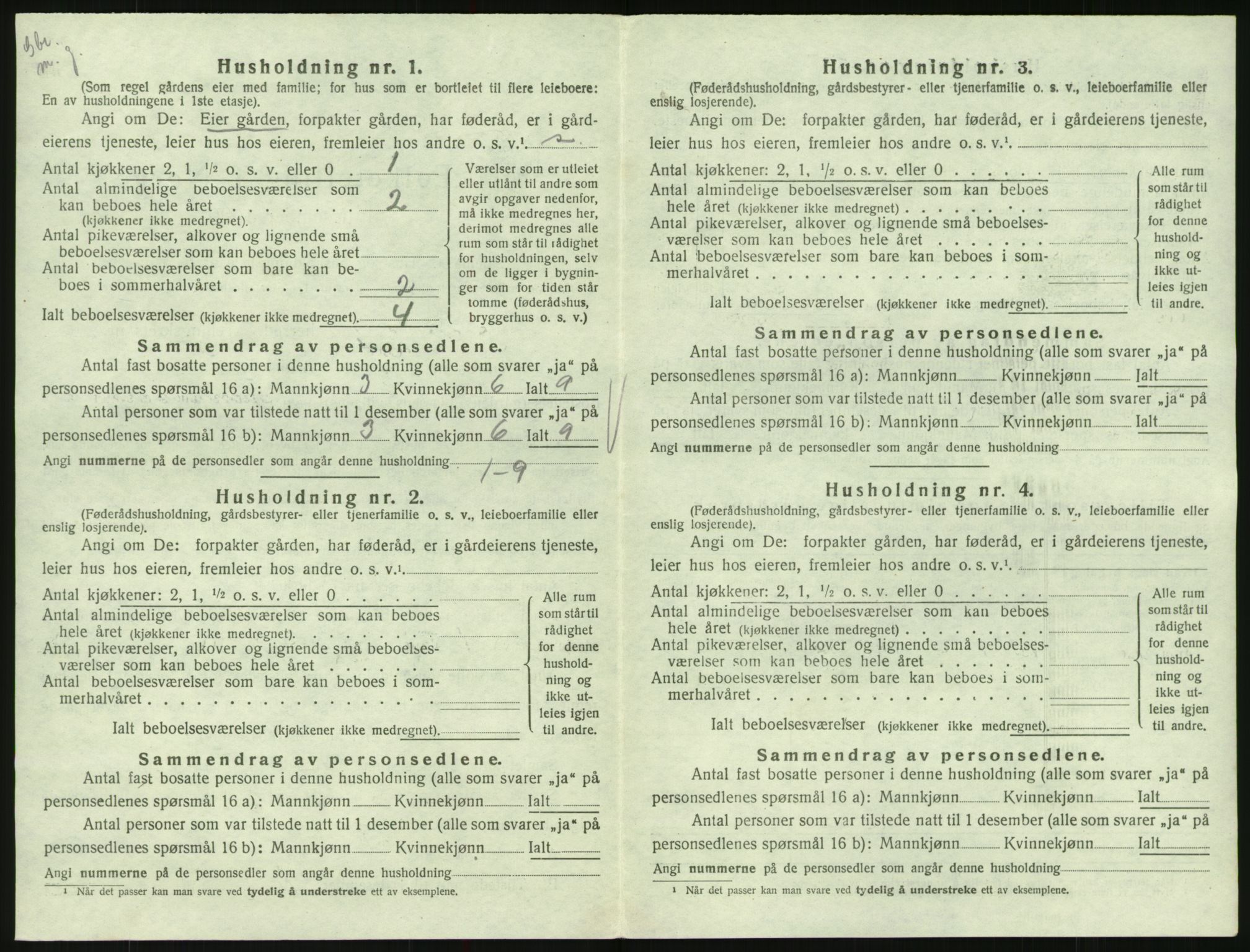 SAK, 1920 census for Hornnes, 1920, p. 528