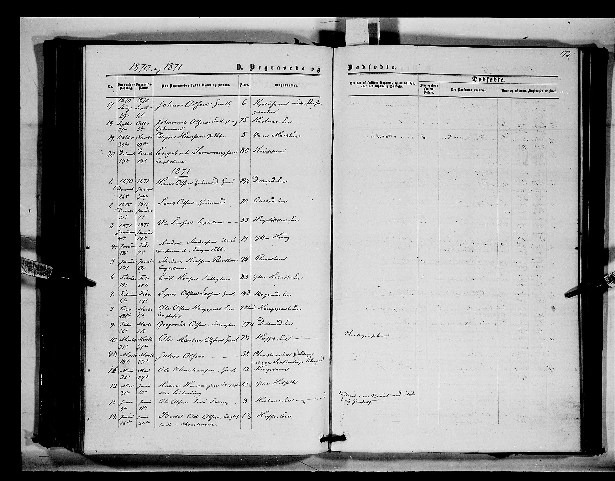 Stange prestekontor, SAH/PREST-002/K/L0014: Parish register (official) no. 14, 1862-1879, p. 173