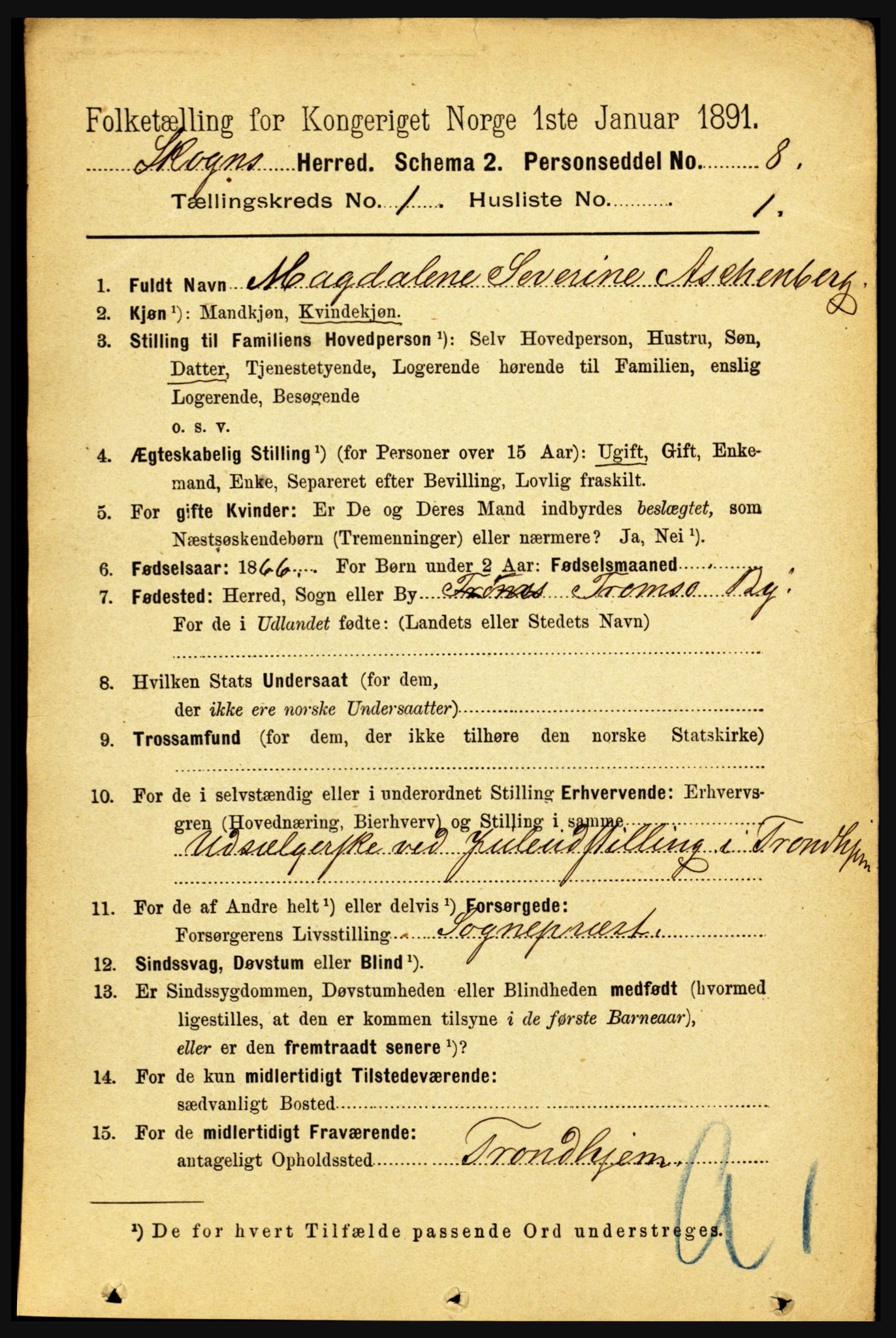 RA, 1891 census for 1719 Skogn, 1891, p. 154