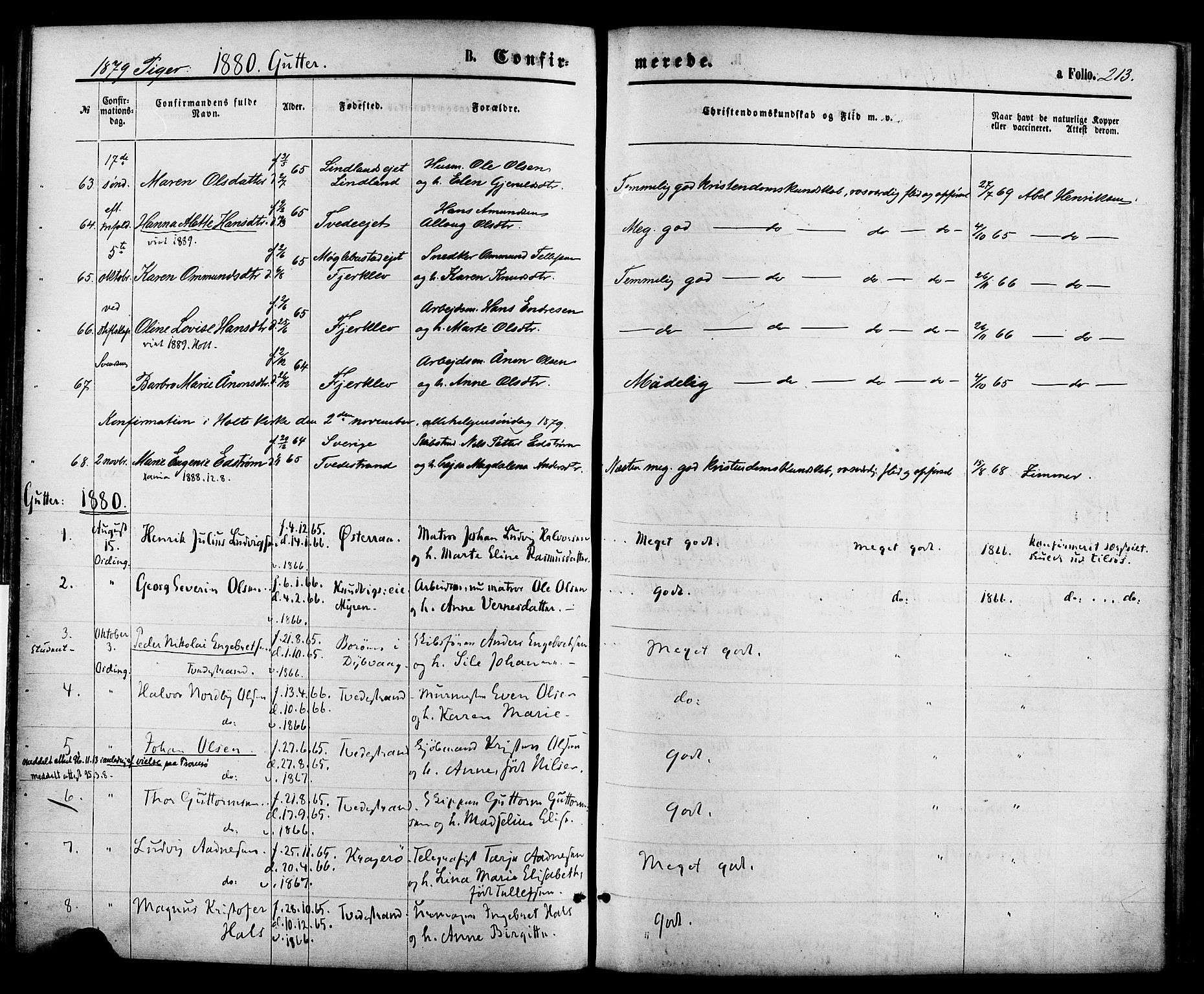 Holt sokneprestkontor, AV/SAK-1111-0021/F/Fa/L0010: Parish register (official) no. A 10, 1872-1885, p. 213