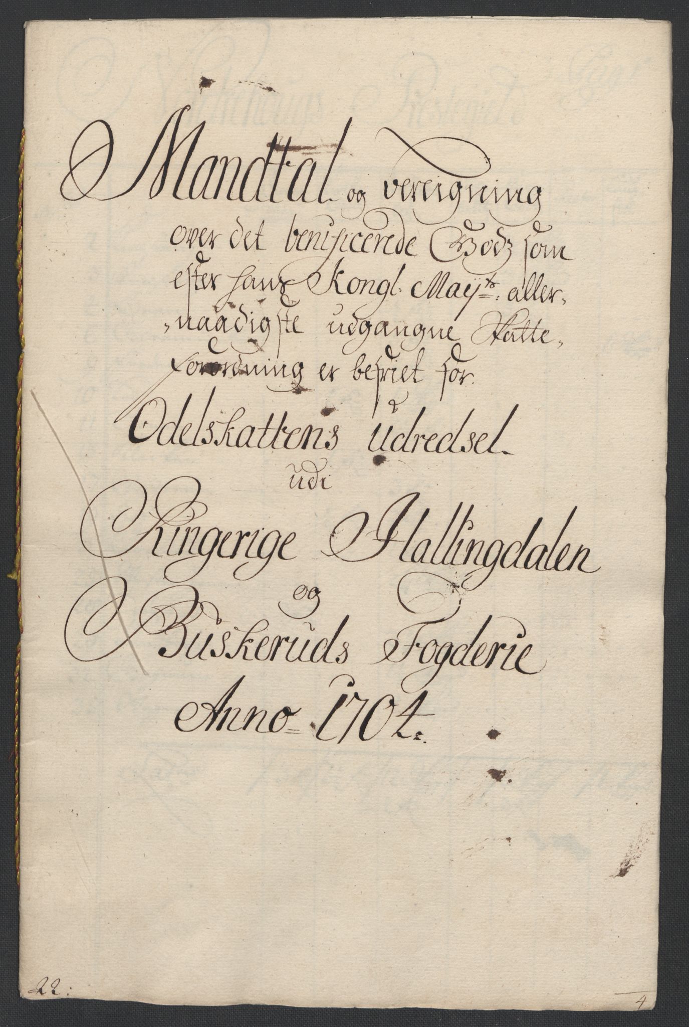 Rentekammeret inntil 1814, Reviderte regnskaper, Fogderegnskap, RA/EA-4092/R22/L1463: Fogderegnskap Ringerike, Hallingdal og Buskerud, 1704, p. 252