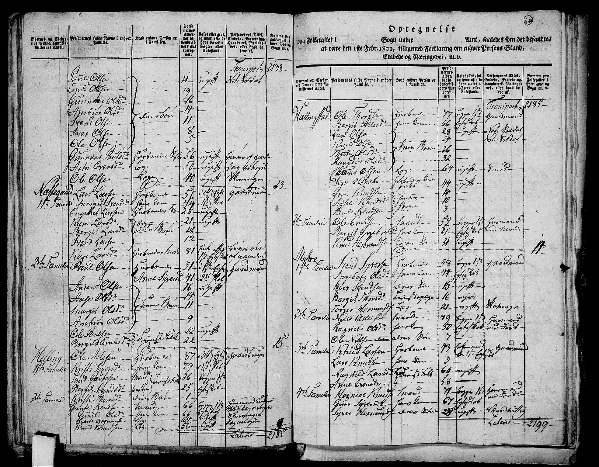 RA, 1801 census for 0619P Ål, 1801, p. 213b-214a