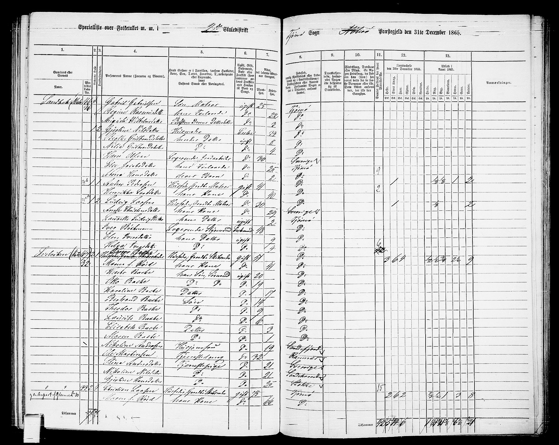 RA, 1865 census for Nøtterøy, 1865, p. 238