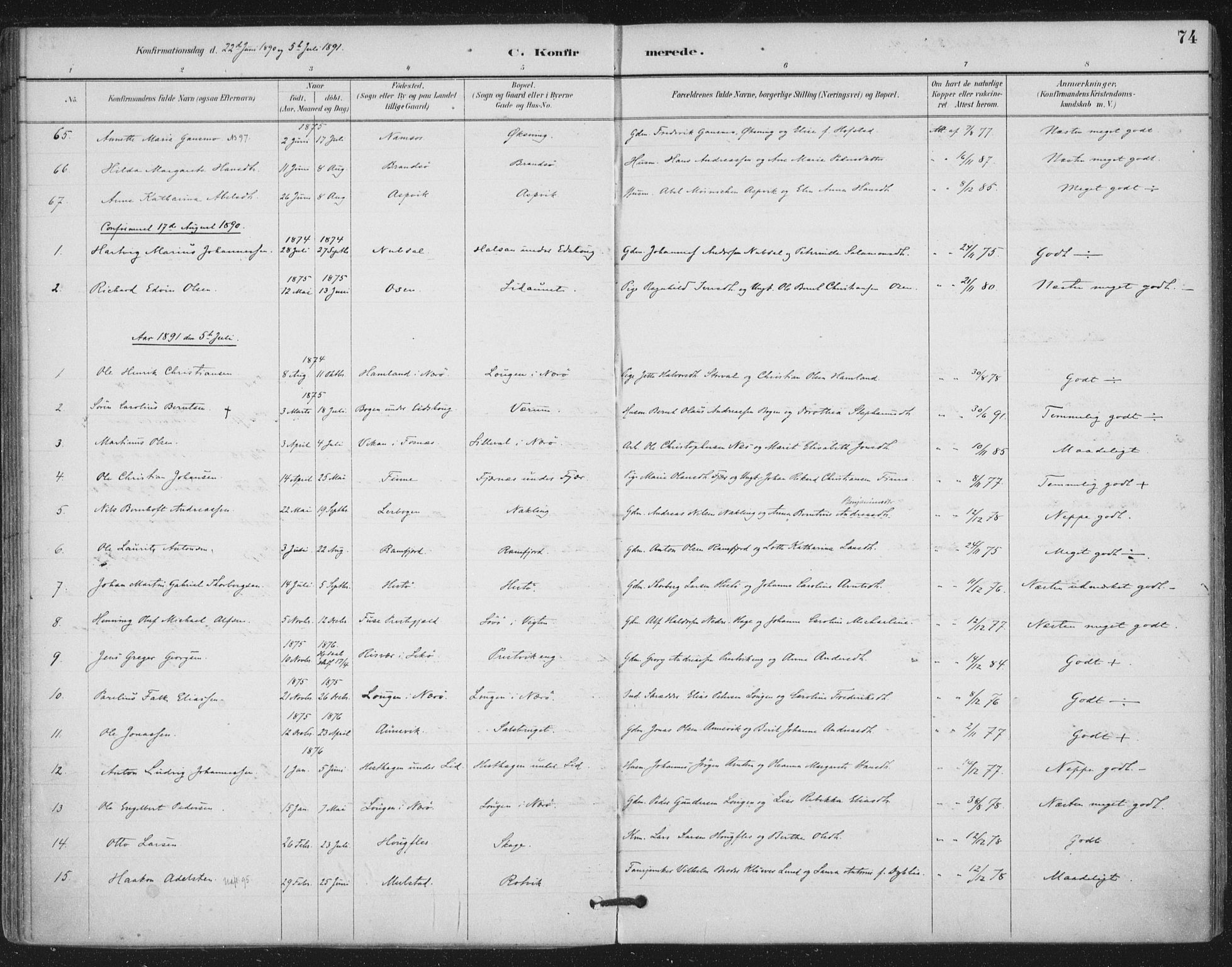 Ministerialprotokoller, klokkerbøker og fødselsregistre - Nord-Trøndelag, SAT/A-1458/780/L0644: Parish register (official) no. 780A08, 1886-1903, p. 74