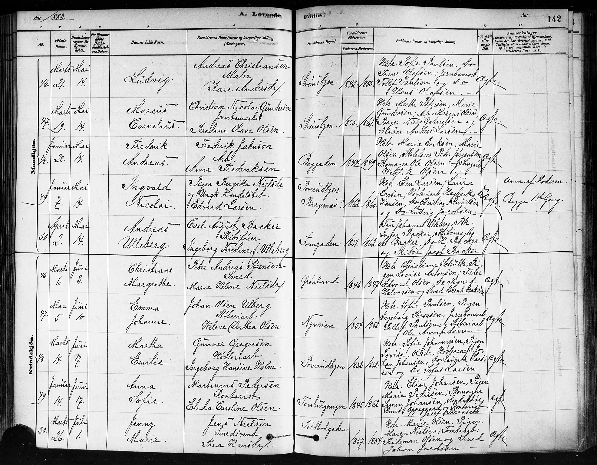 Strømsø kirkebøker, SAKO/A-246/F/Fa/L0021: Parish register (official) no. I 21, 1878-1885, p. 142