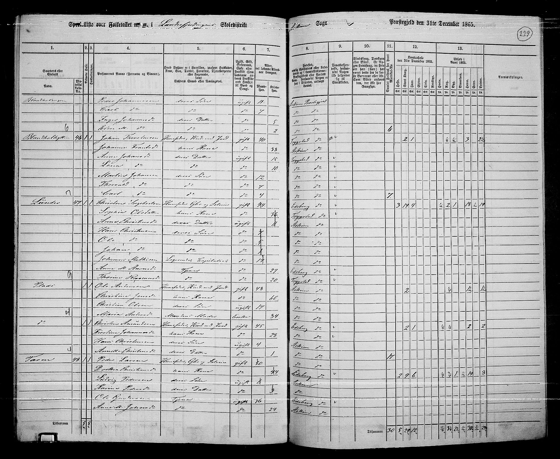 RA, 1865 census for Askim, 1865, p. 86