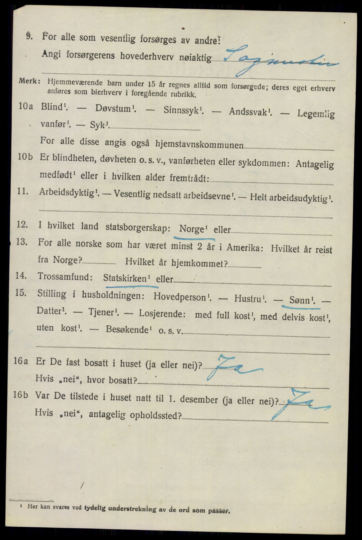 SAO, 1920 census for Nes, 1920, p. 5113