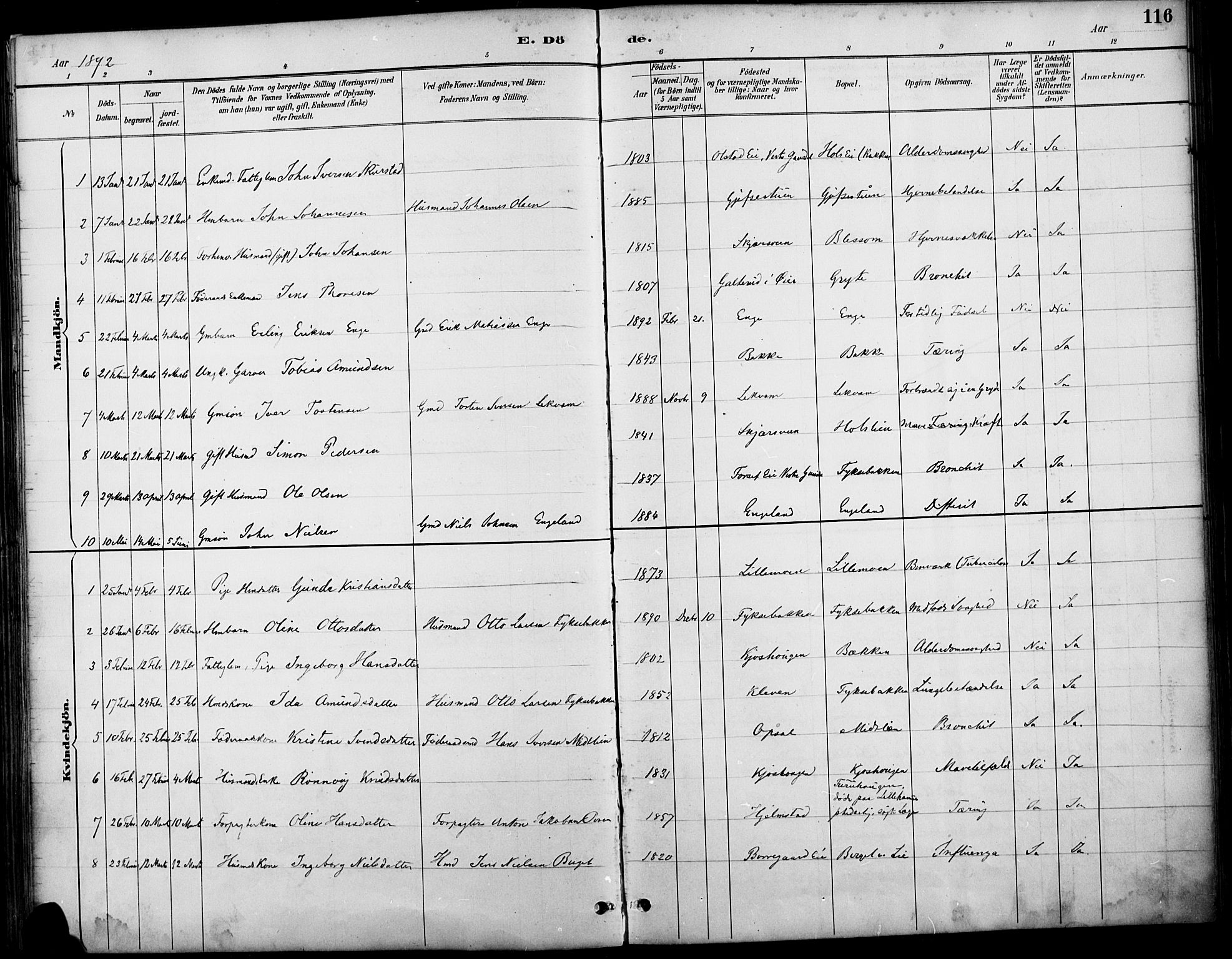 Østre Gausdal prestekontor, SAH/PREST-092/H/Ha/Haa/L0002: Parish register (official) no. 2, 1887-1897, p. 116