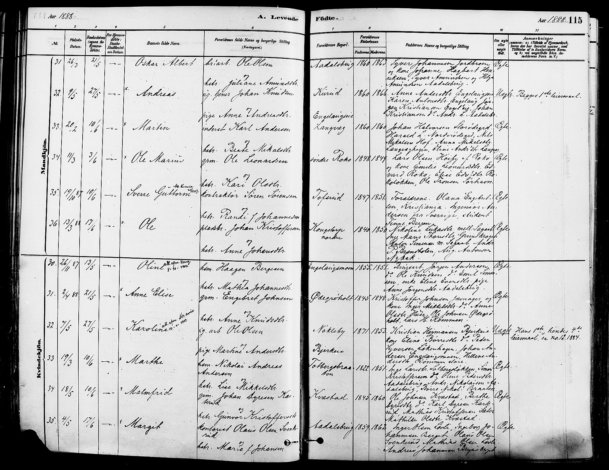 Løten prestekontor, AV/SAH-PREST-022/K/Ka/L0009: Parish register (official) no. 9, 1878-1891, p. 115