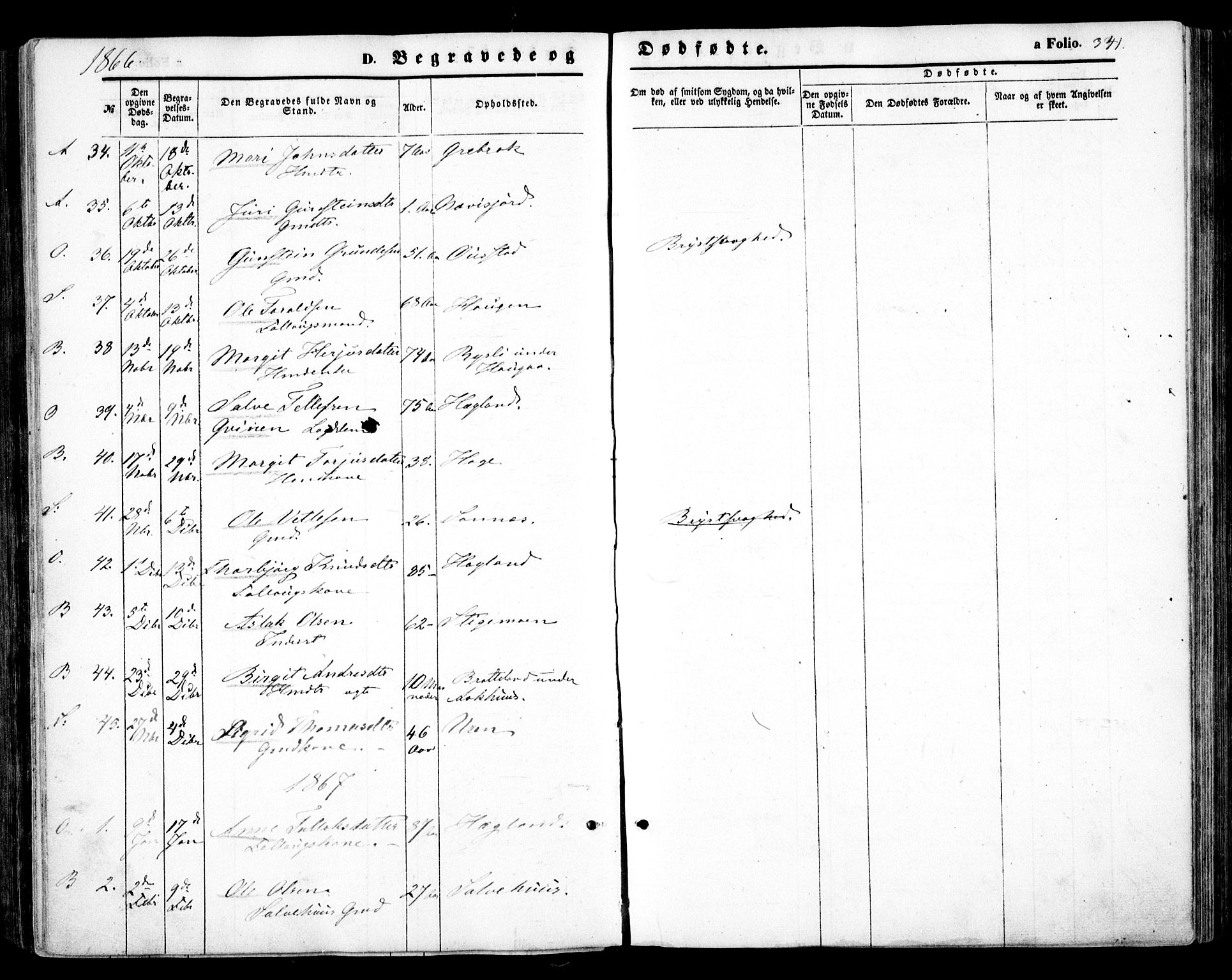 Bygland sokneprestkontor, SAK/1111-0006/F/Fa/Fab/L0005: Parish register (official) no. A 5, 1859-1873, p. 341