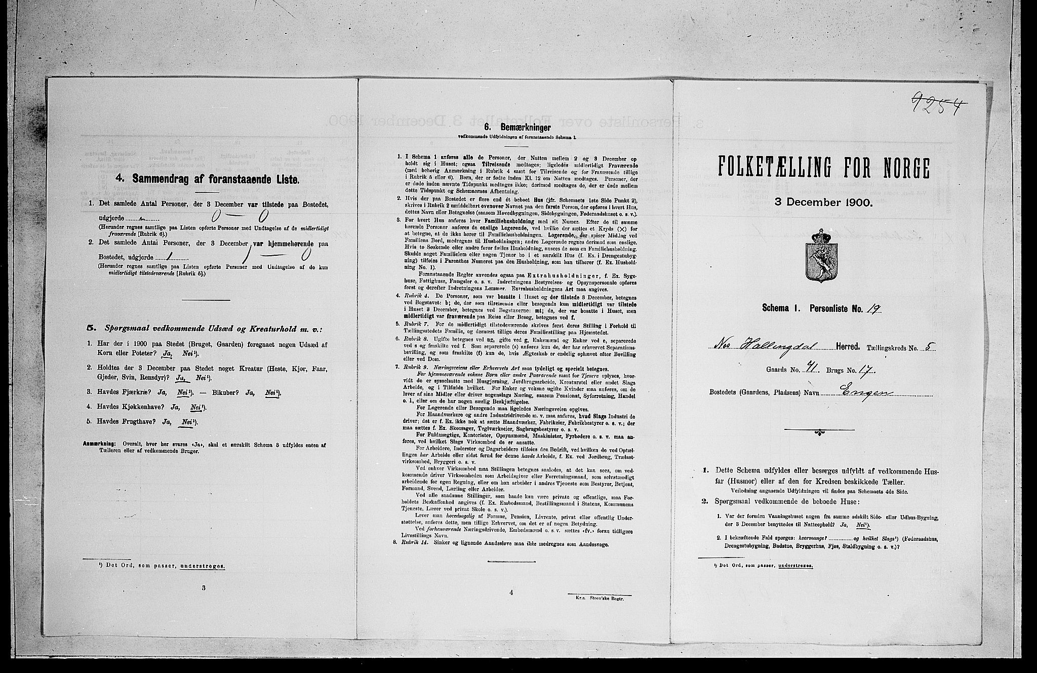 RA, 1900 census for Nes, 1900, p. 594