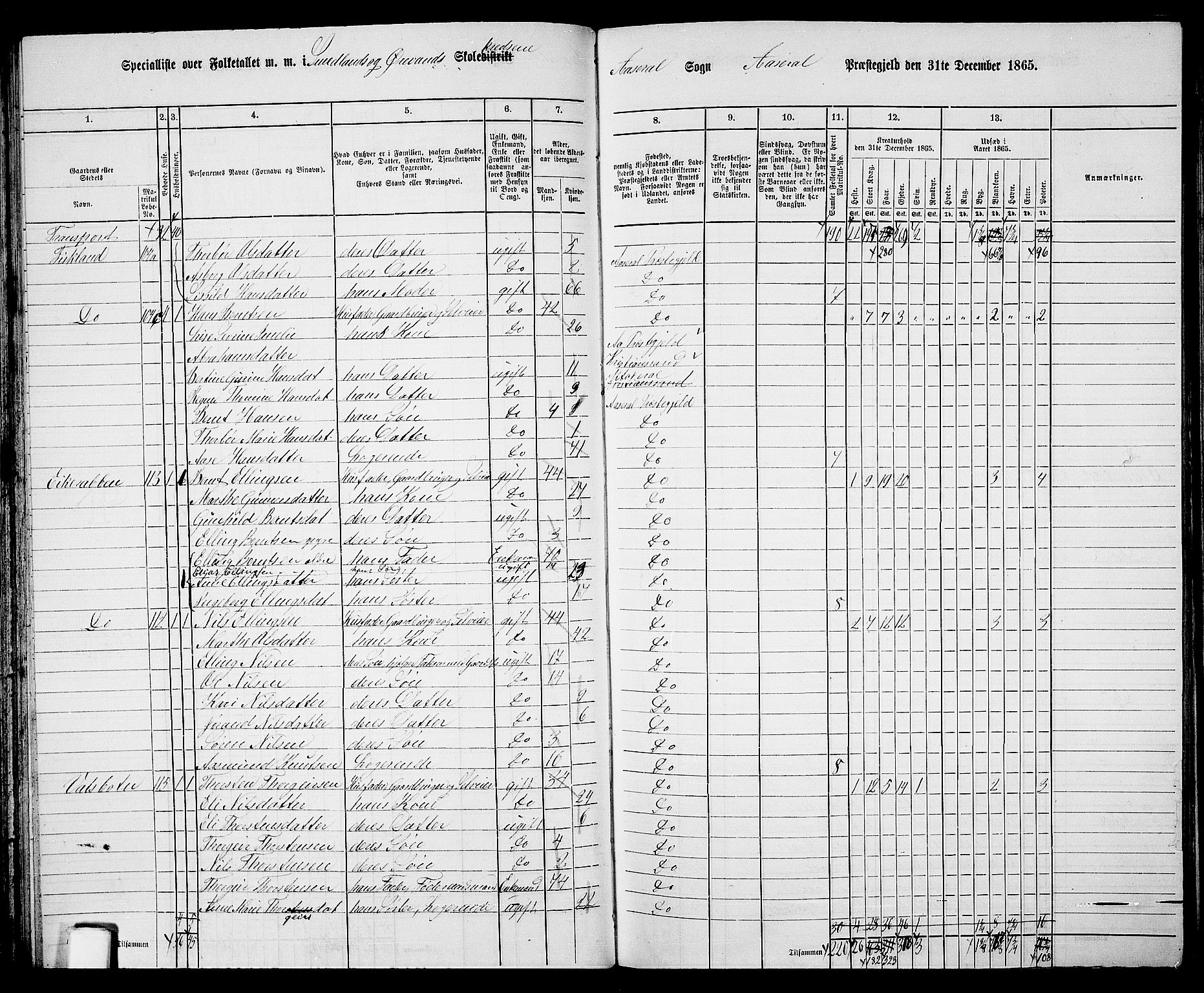 RA, 1865 census for Åseral, 1865, p. 51