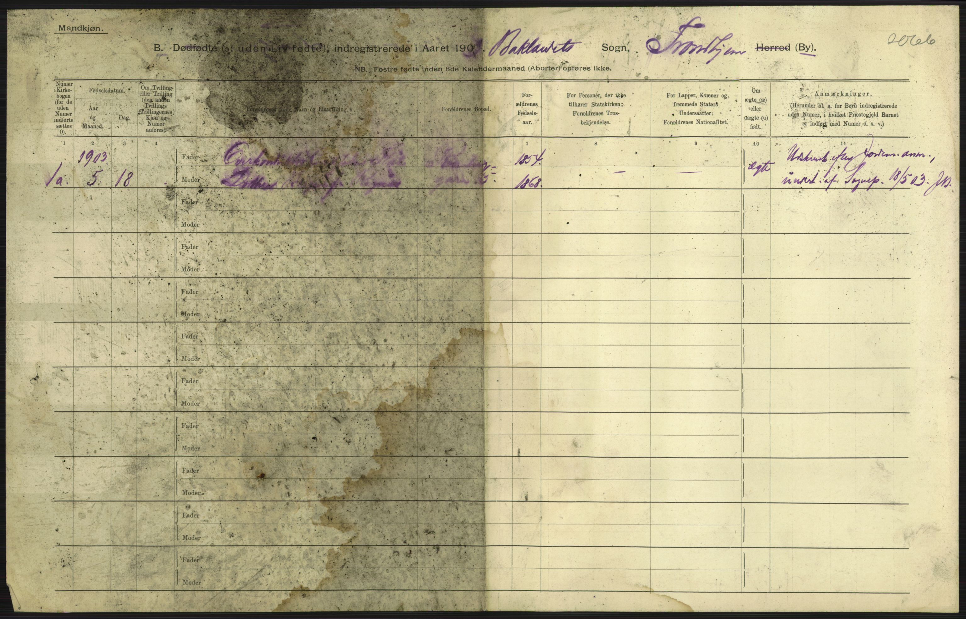 Statistisk sentralbyrå, Sosiodemografiske emner, Befolkning, RA/S-2228/D/Df/Dfa/Dfaa/L0026: Smålenenes - Finnmarkens amt: Dødfødte. Byer., 1903, p. 219