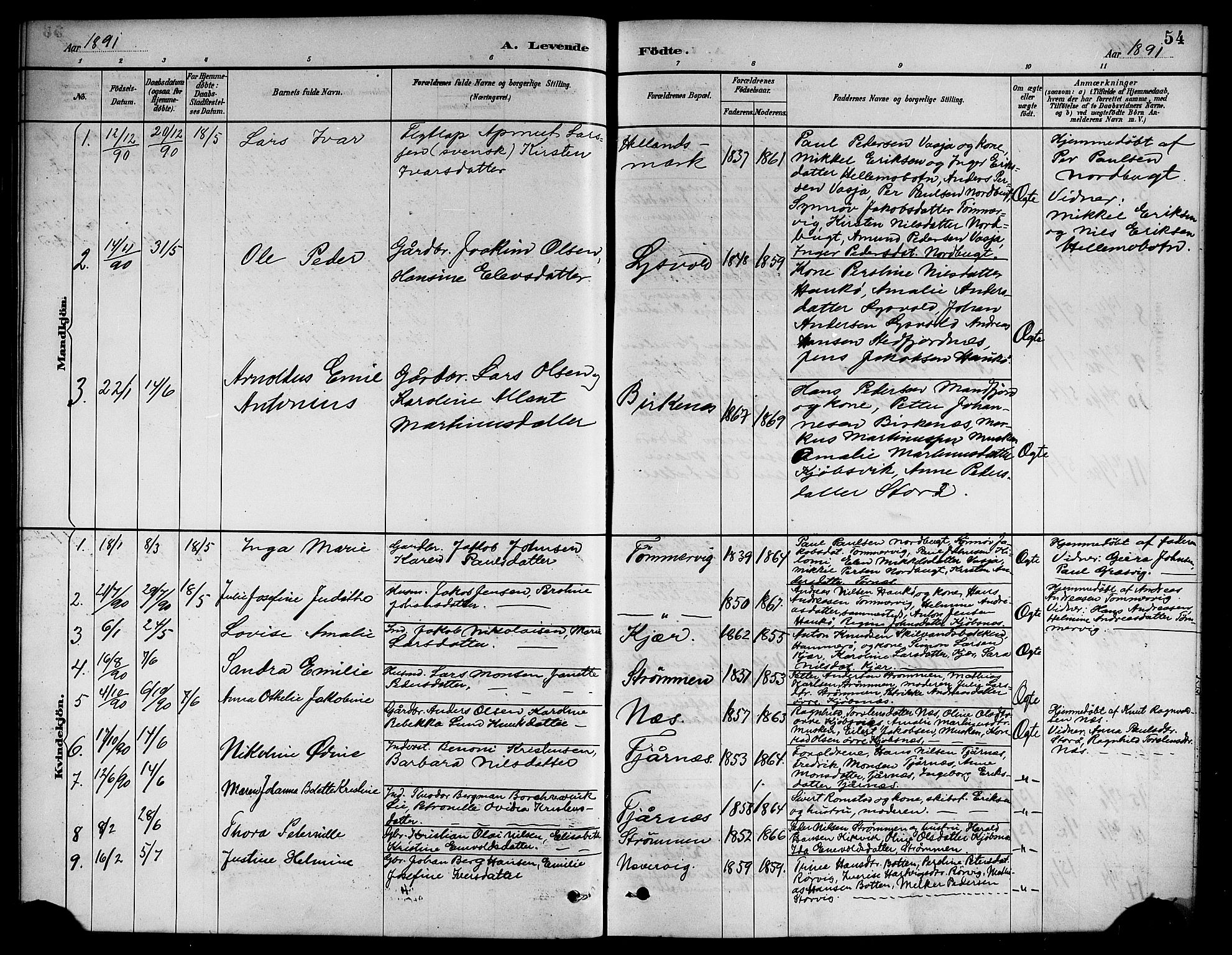 Ministerialprotokoller, klokkerbøker og fødselsregistre - Nordland, AV/SAT-A-1459/861/L0876: Parish register (copy) no. 861C02, 1887-1903, p. 54