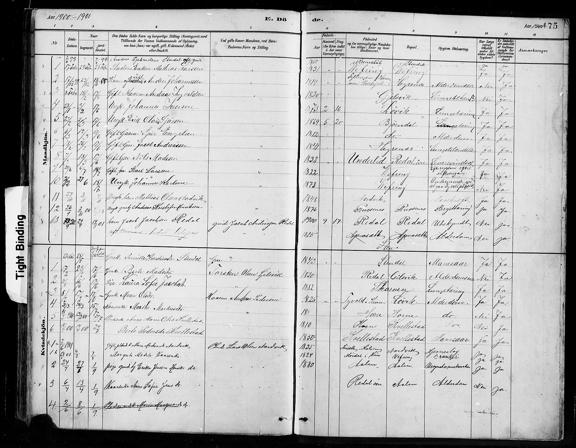 Førde sokneprestembete, SAB/A-79901/H/Hab/Habe/L0001: Parish register (copy) no. E 1, 1881-1920, p. 175