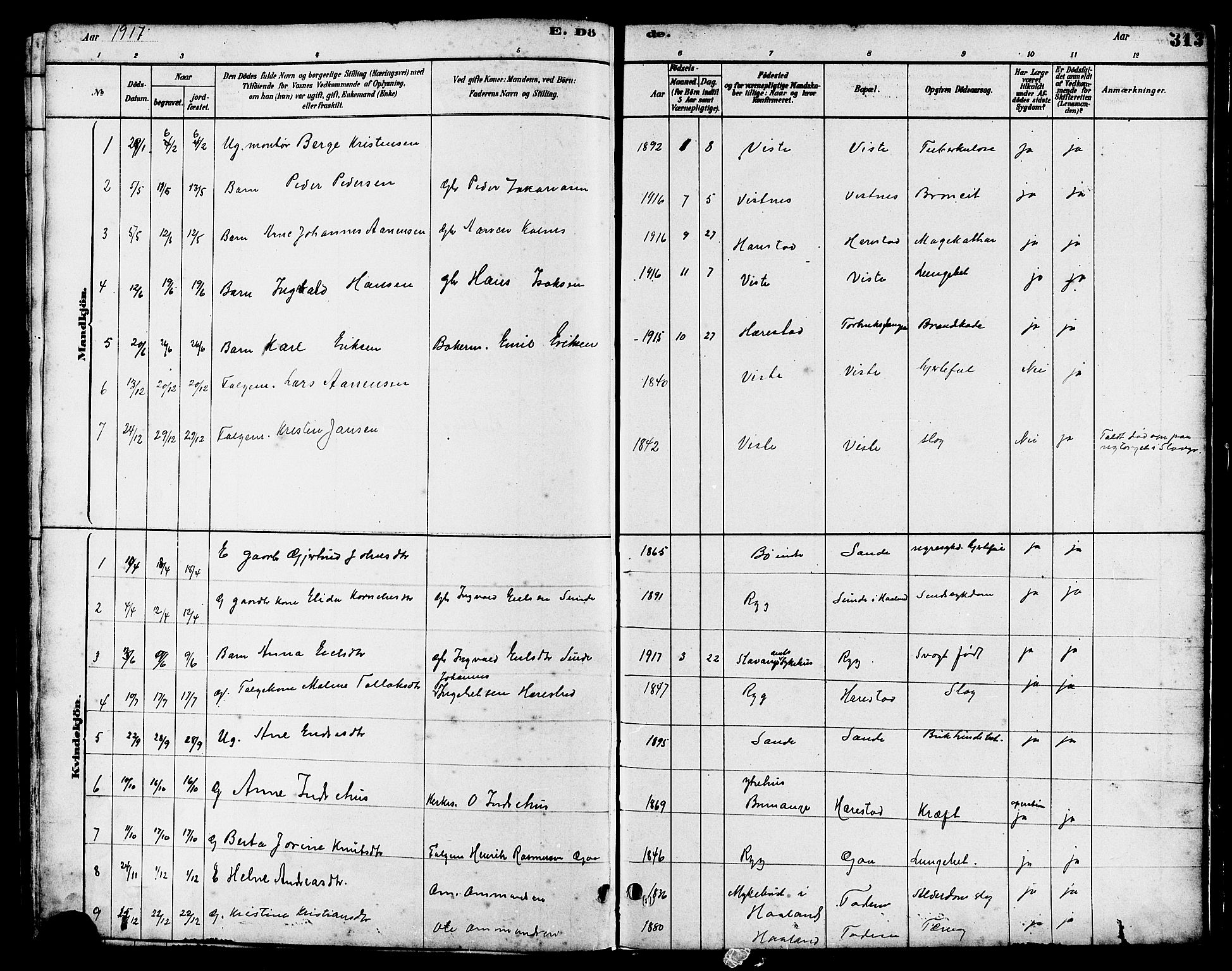 Hetland sokneprestkontor, SAST/A-101826/30/30BB/L0006: Parish register (copy) no. B 6, 1878-1921, p. 313