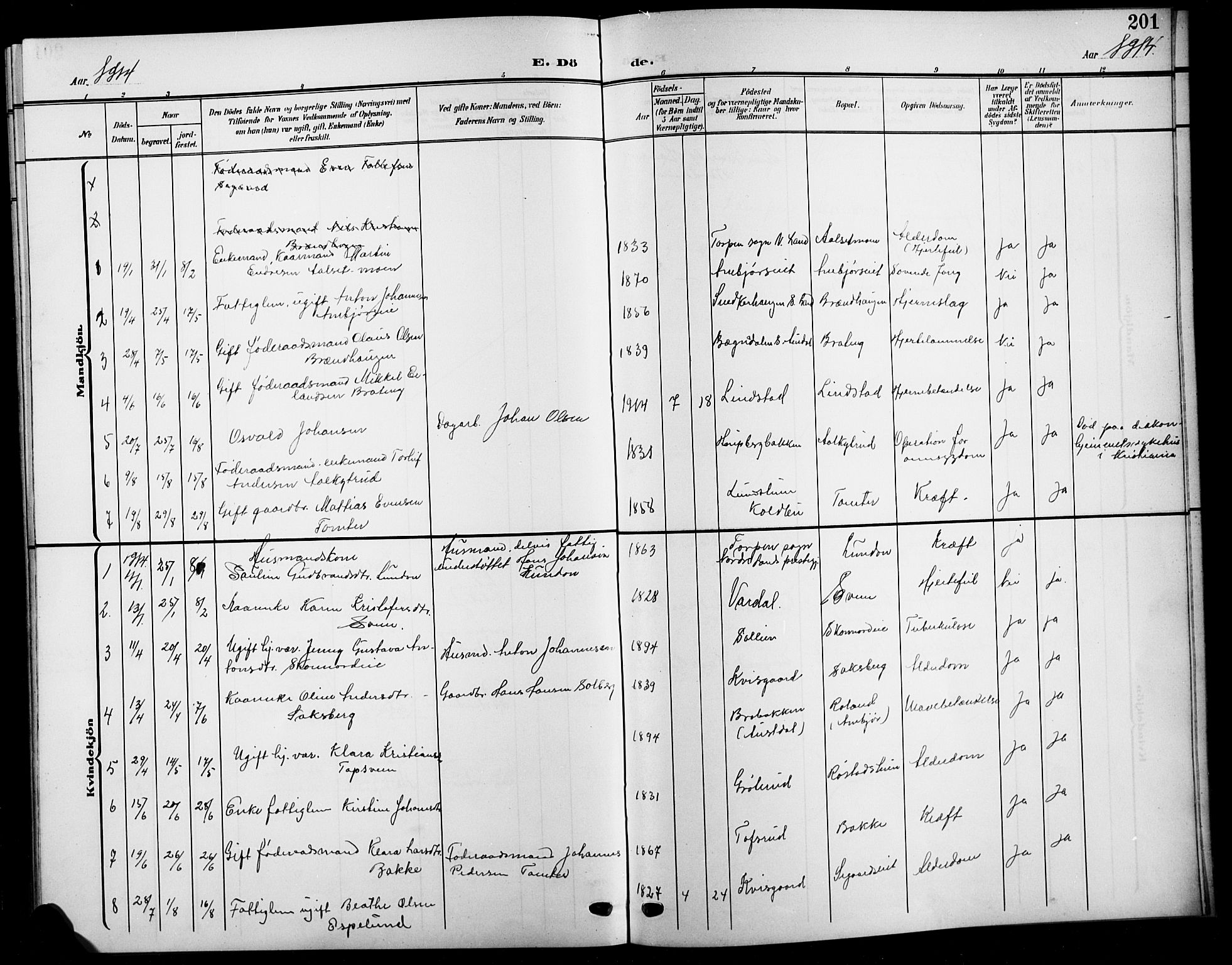 Biri prestekontor, SAH/PREST-096/H/Ha/Hab/L0005: Parish register (copy) no. 5, 1906-1919, p. 201