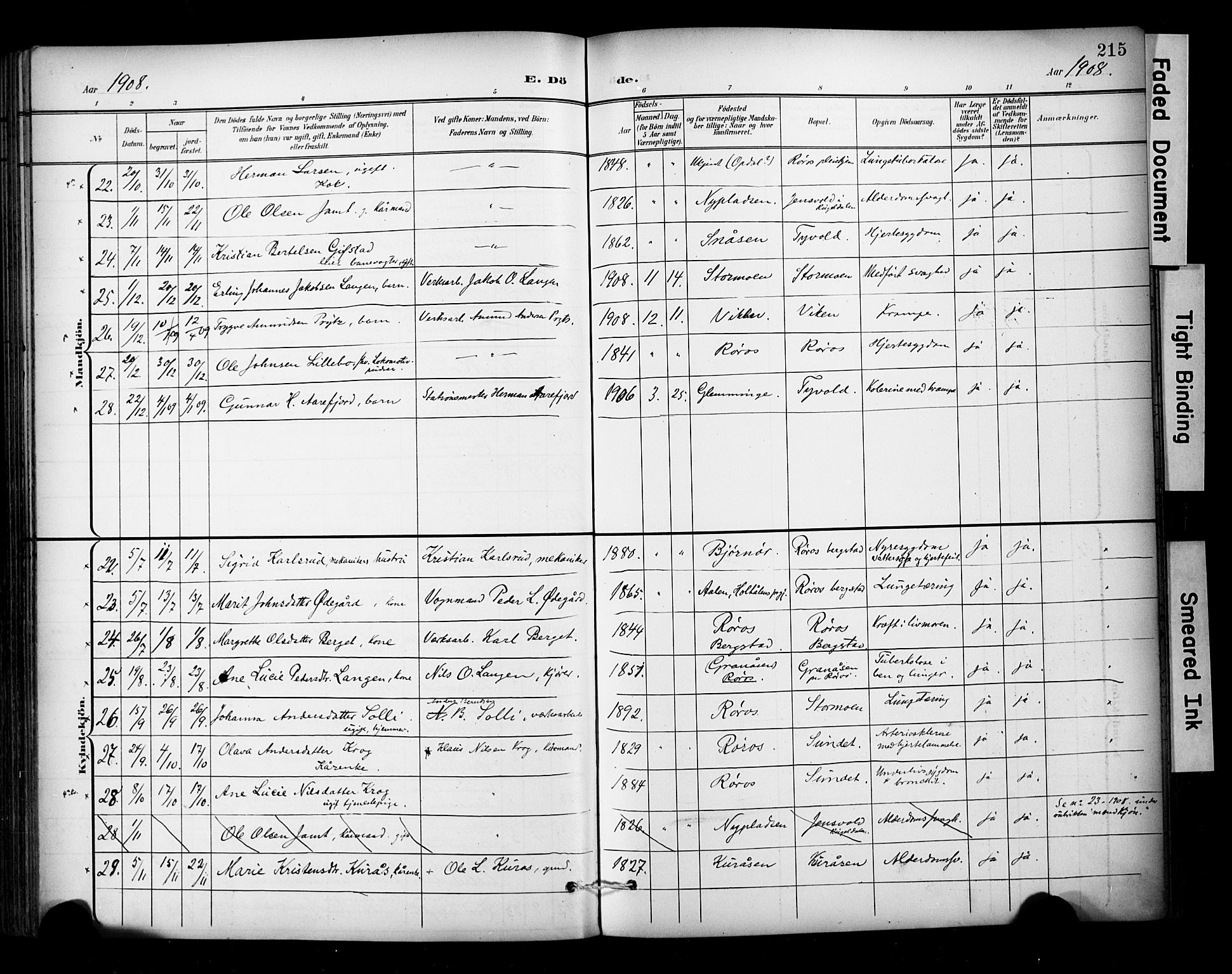 Ministerialprotokoller, klokkerbøker og fødselsregistre - Sør-Trøndelag, SAT/A-1456/681/L0936: Parish register (official) no. 681A14, 1899-1908, p. 215
