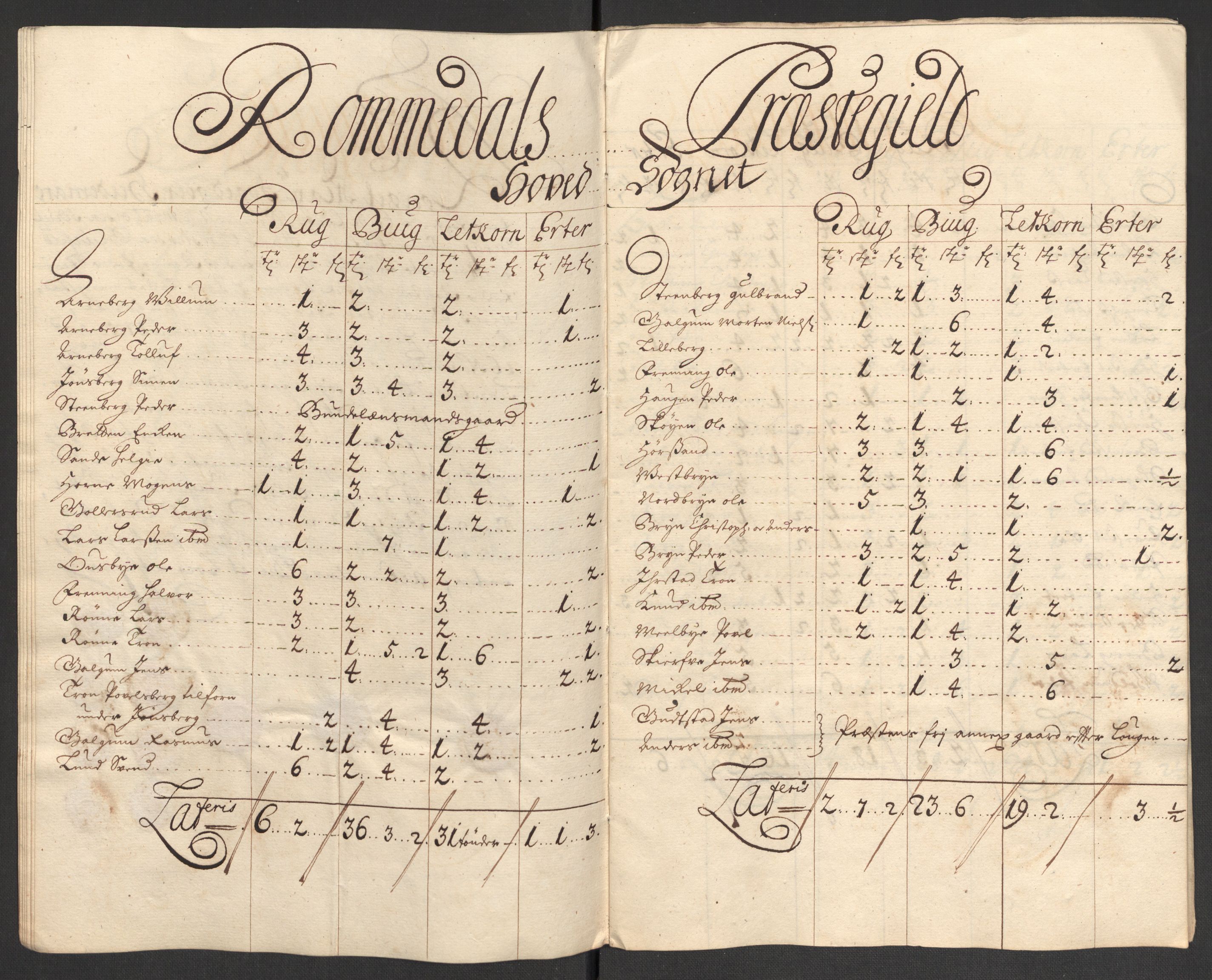 Rentekammeret inntil 1814, Reviderte regnskaper, Fogderegnskap, RA/EA-4092/R16/L1042: Fogderegnskap Hedmark, 1705, p. 49