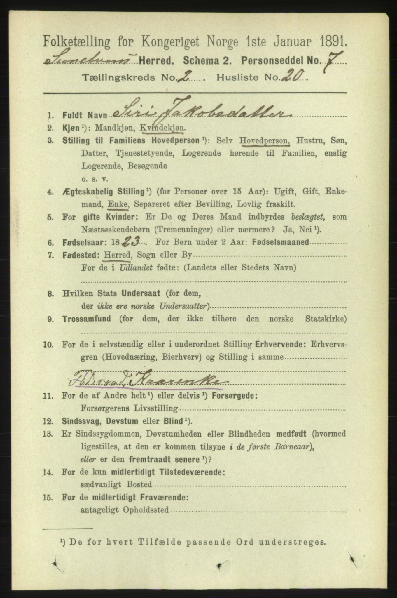 RA, 1891 census for 1523 Sunnylven, 1891, p. 515