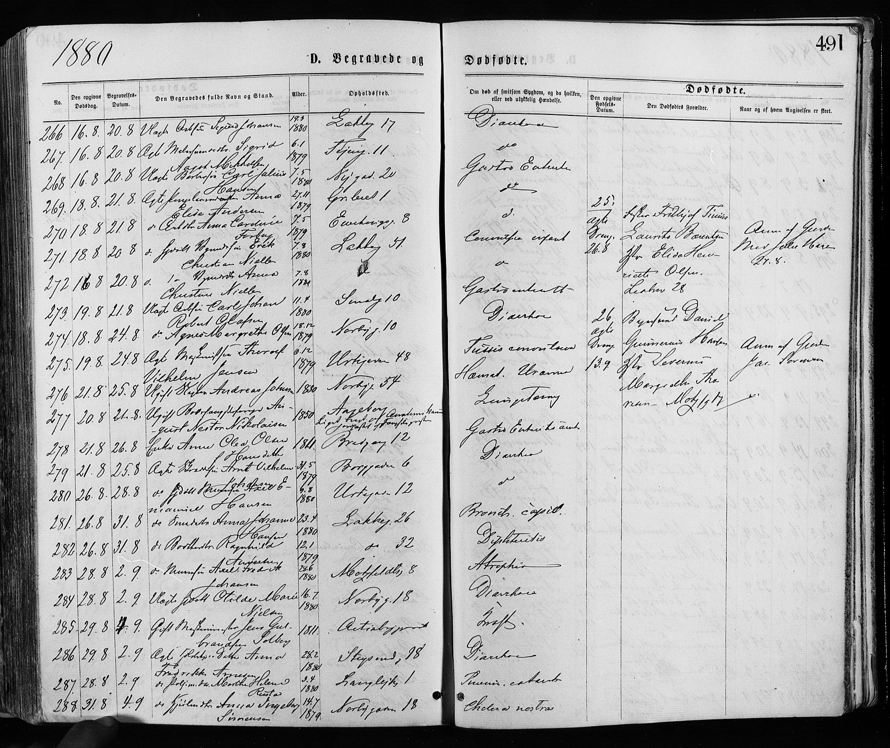 Grønland prestekontor Kirkebøker, AV/SAO-A-10848/F/Fa/L0005: Parish register (official) no. 5, 1869-1880, p. 491