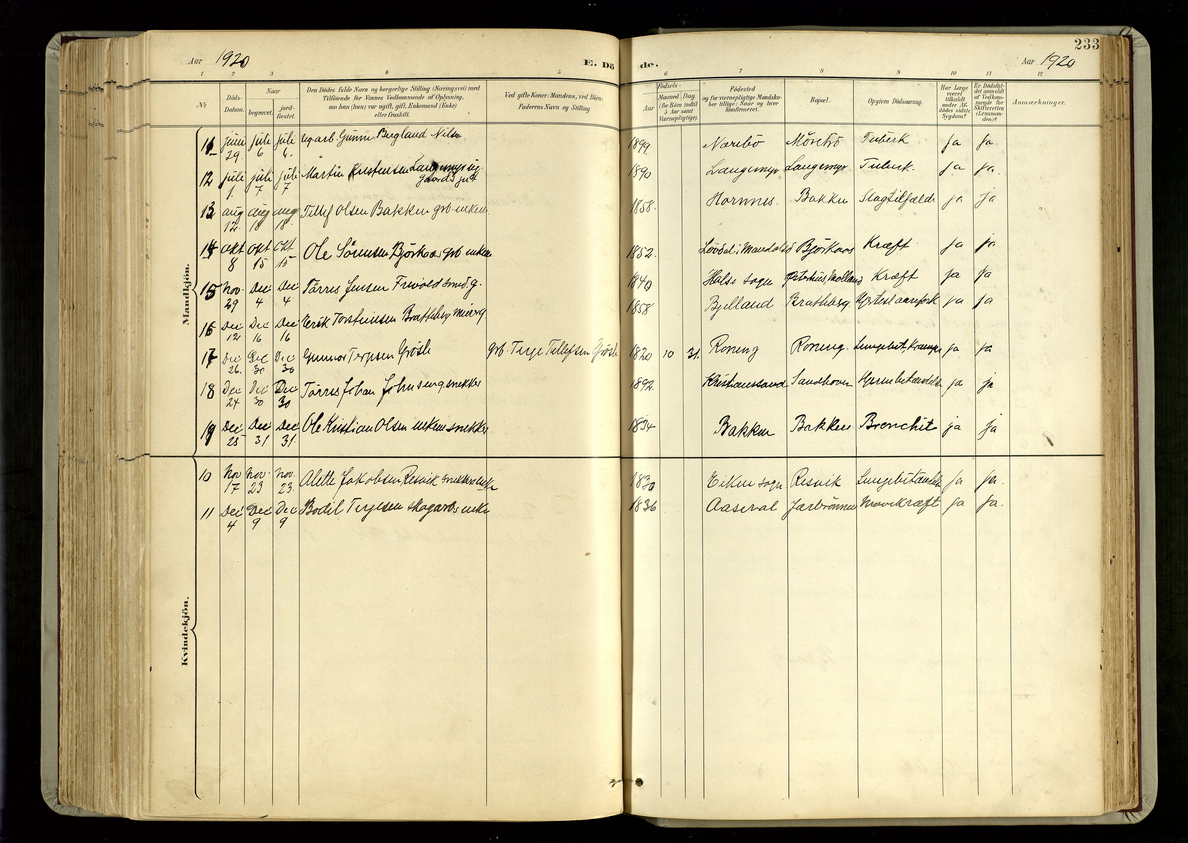 Hommedal sokneprestkontor, AV/SAK-1111-0023/F/Fa/Fab/L0007: Parish register (official) no. A 7, 1898-1924, p. 233